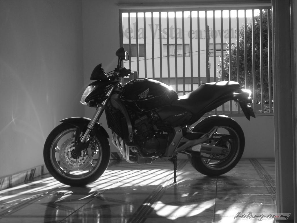 Photo 2297330