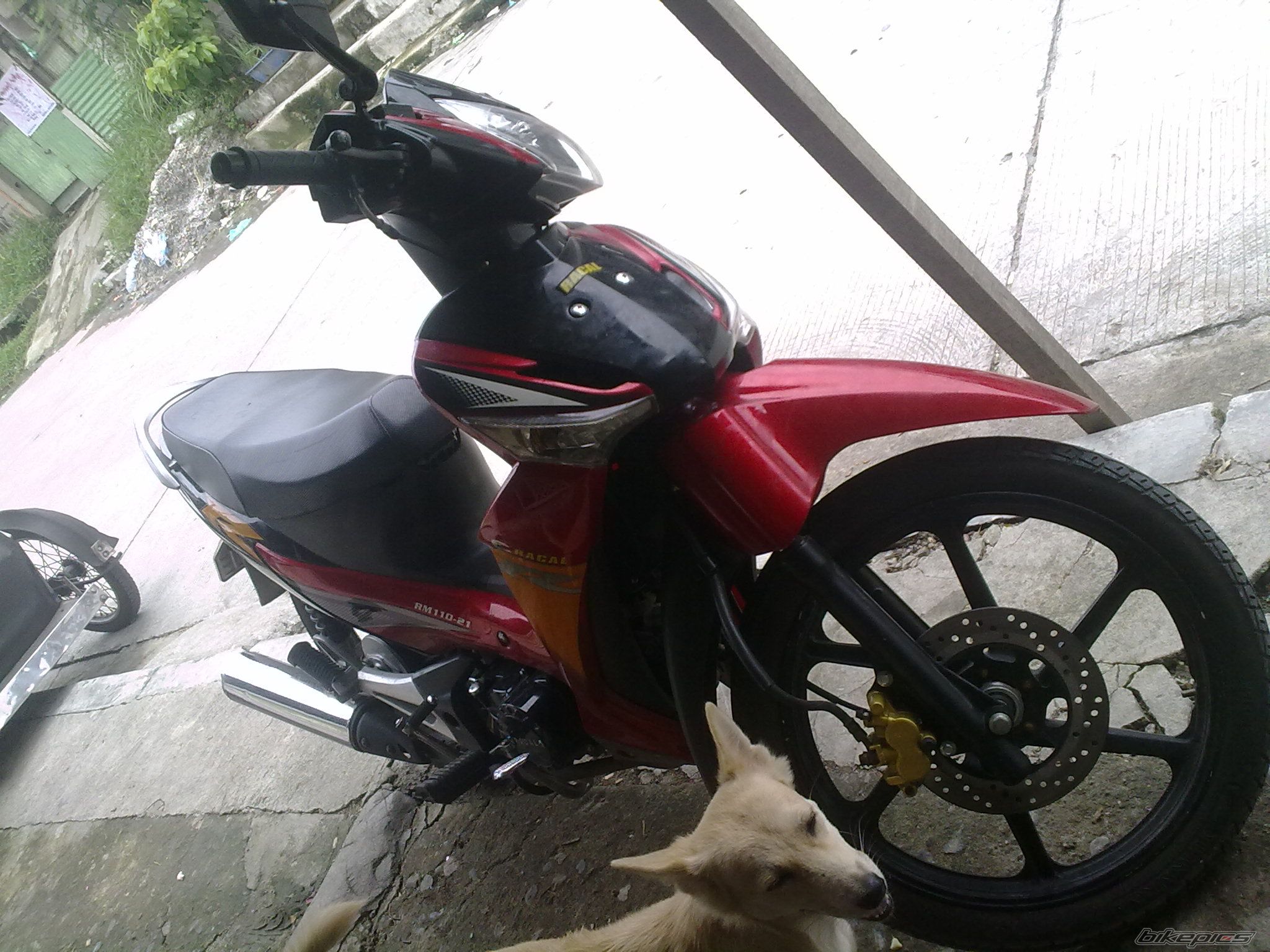 Photo 2298430
