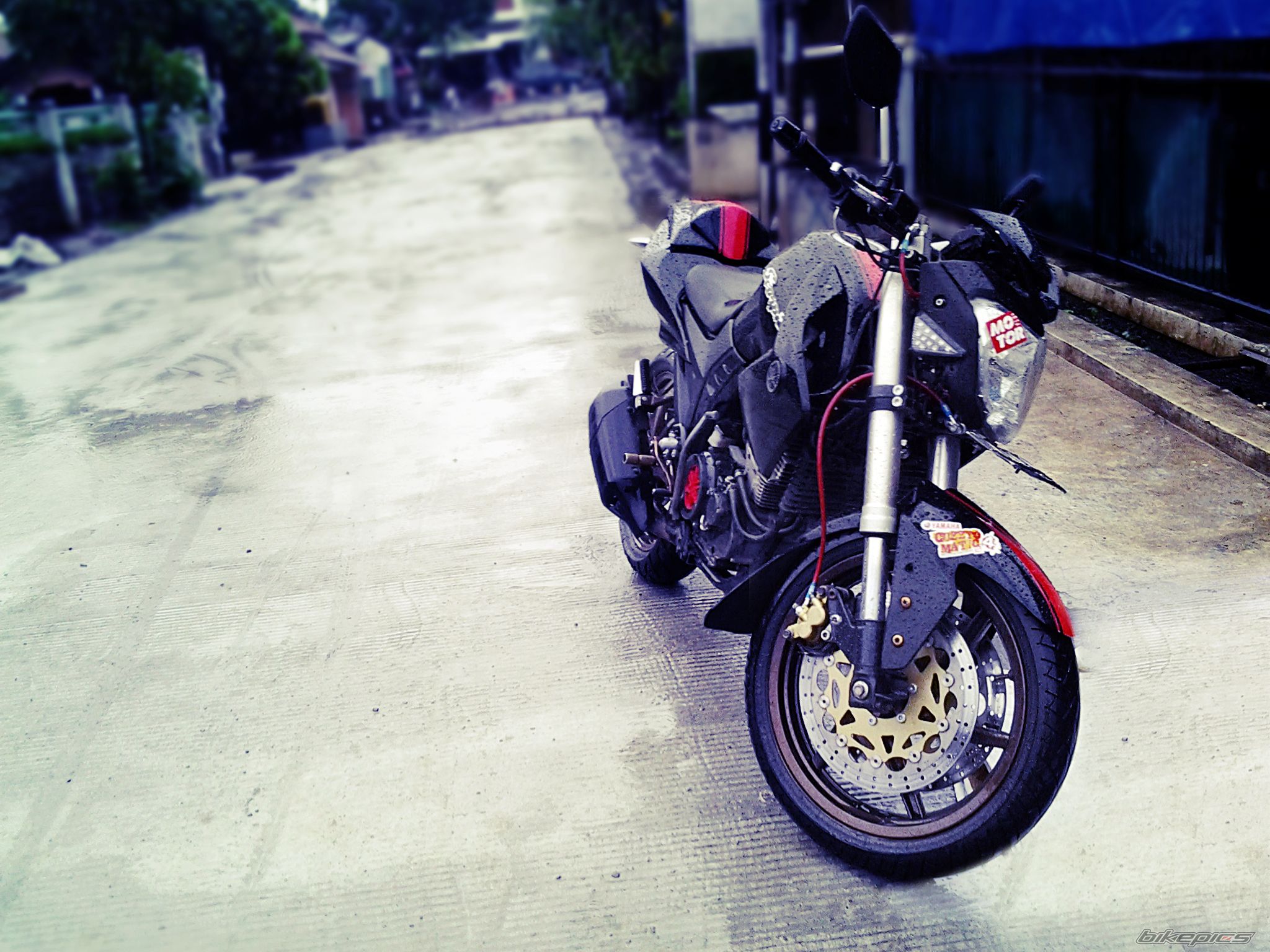 Photo 2298589