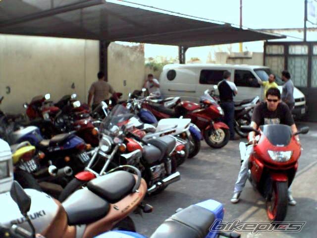 Photo 229861