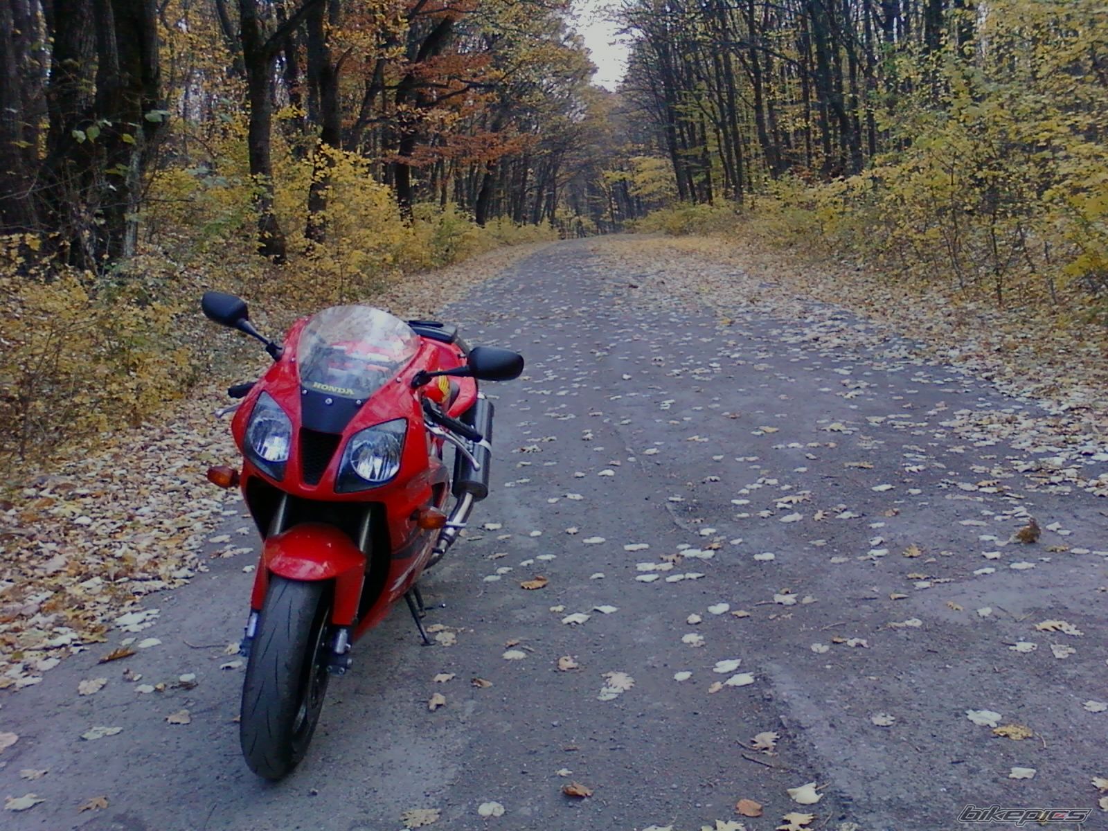 Bike Photo 2299927