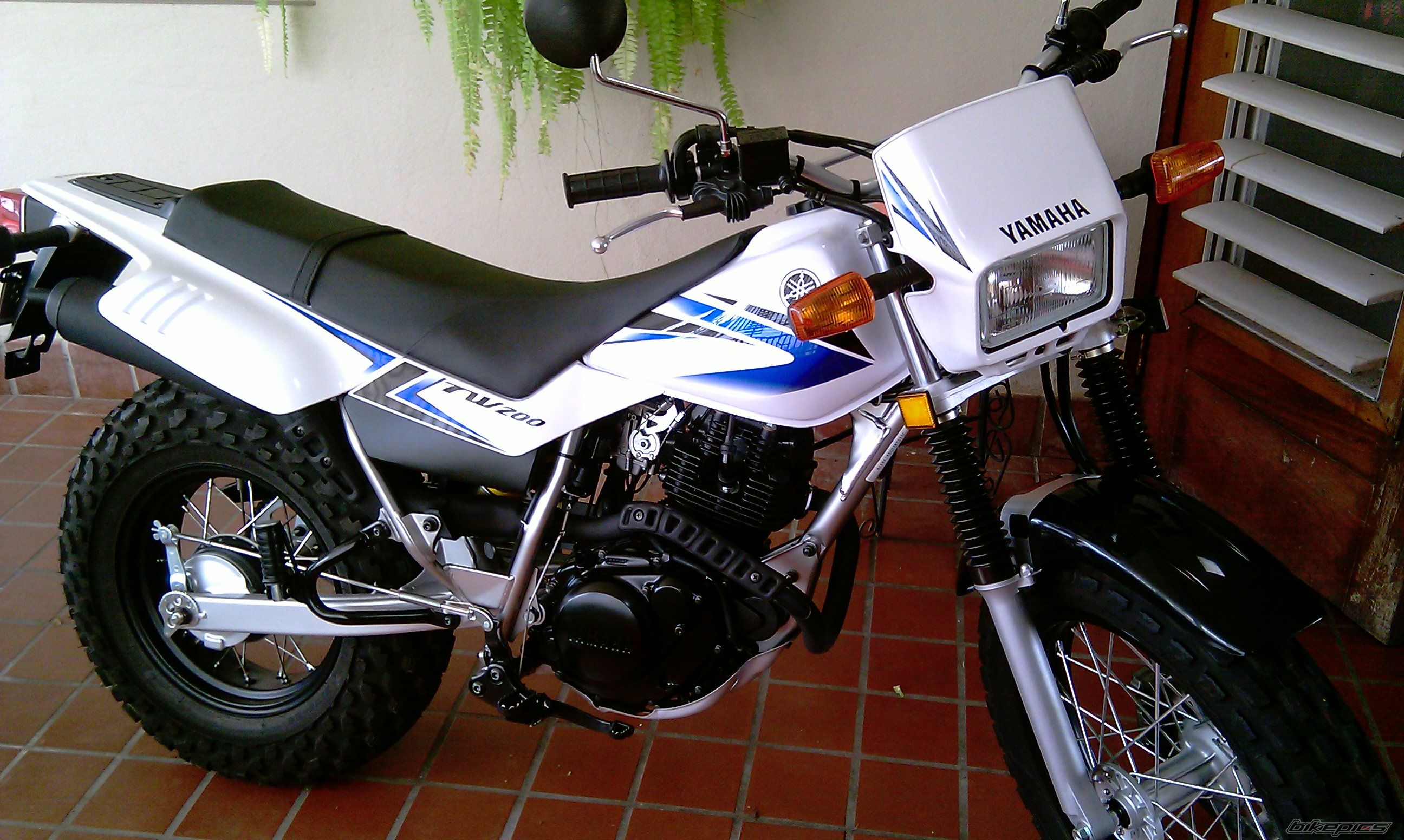 Photo 2300019