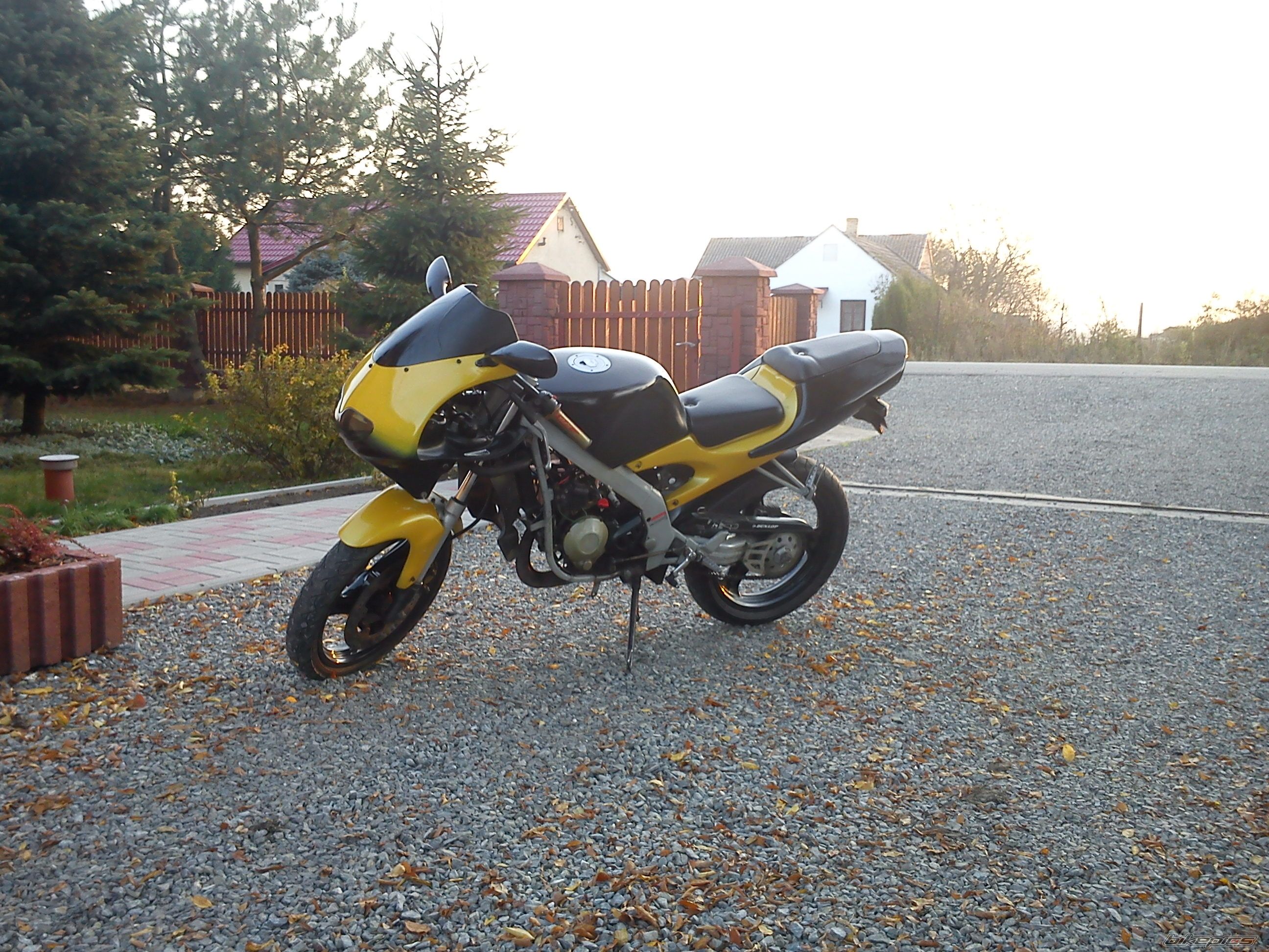 Photo 2300137