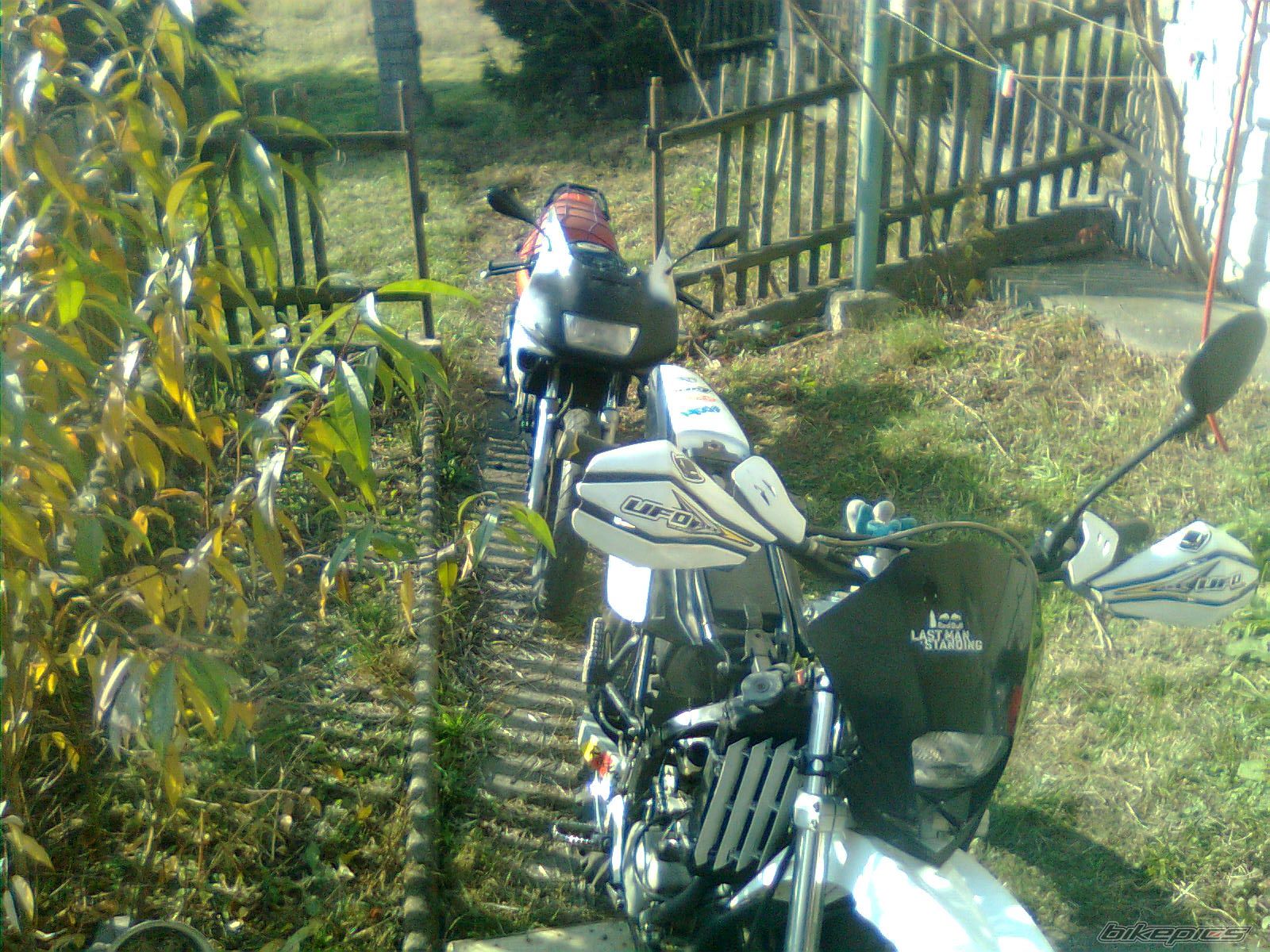 Photo 2300203