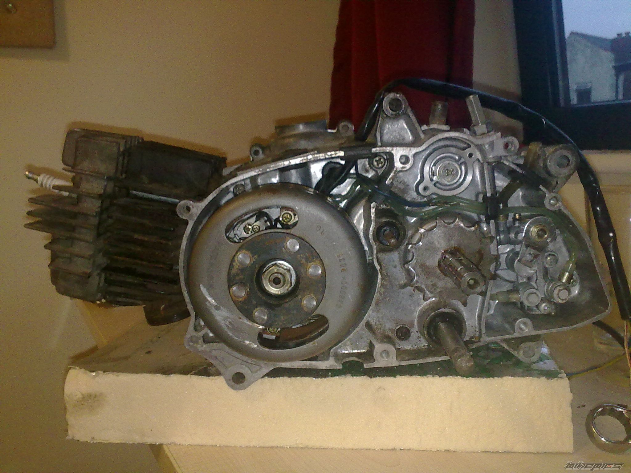 Photo 2300239