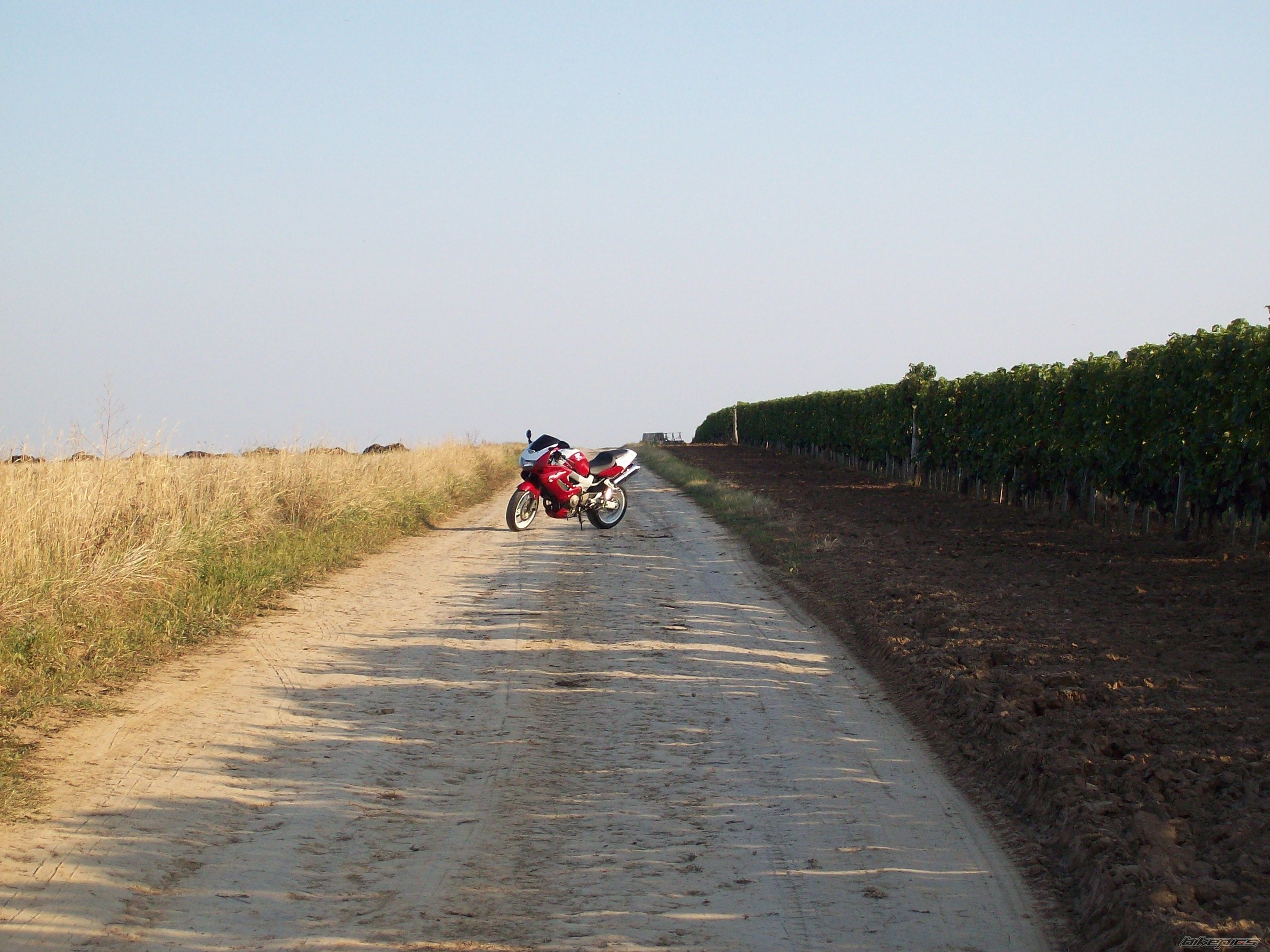 Bike Photo 2300669