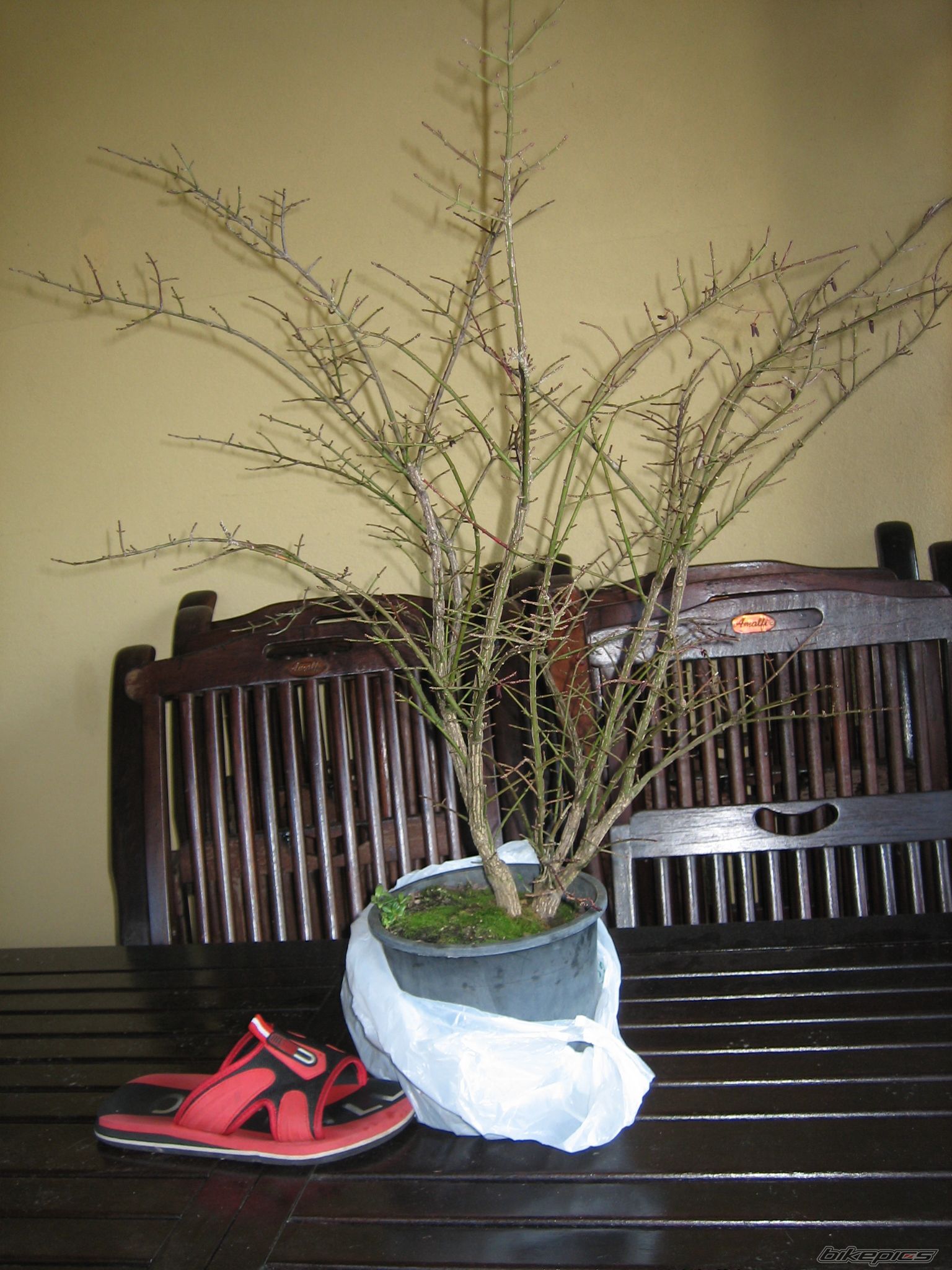 Photo 2303613