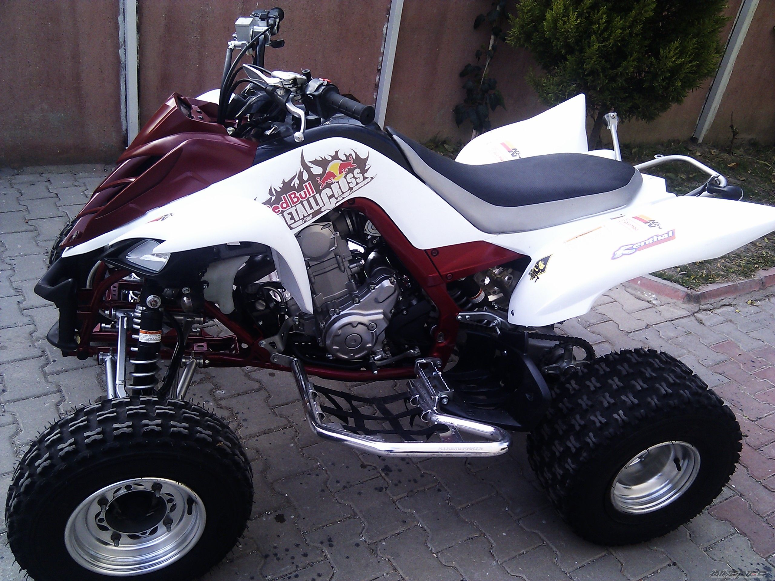 Photo 2304228