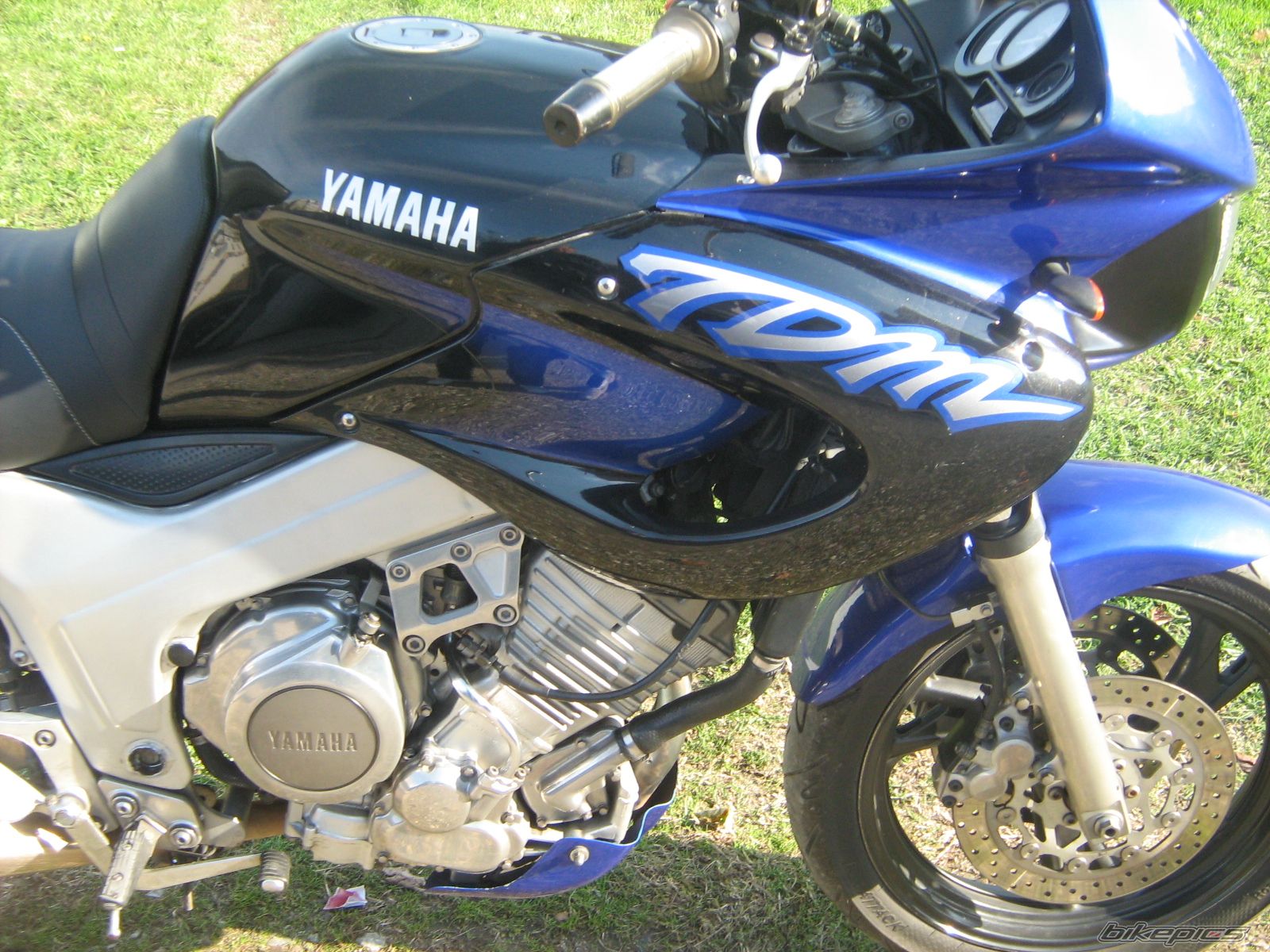 Photo 2304542