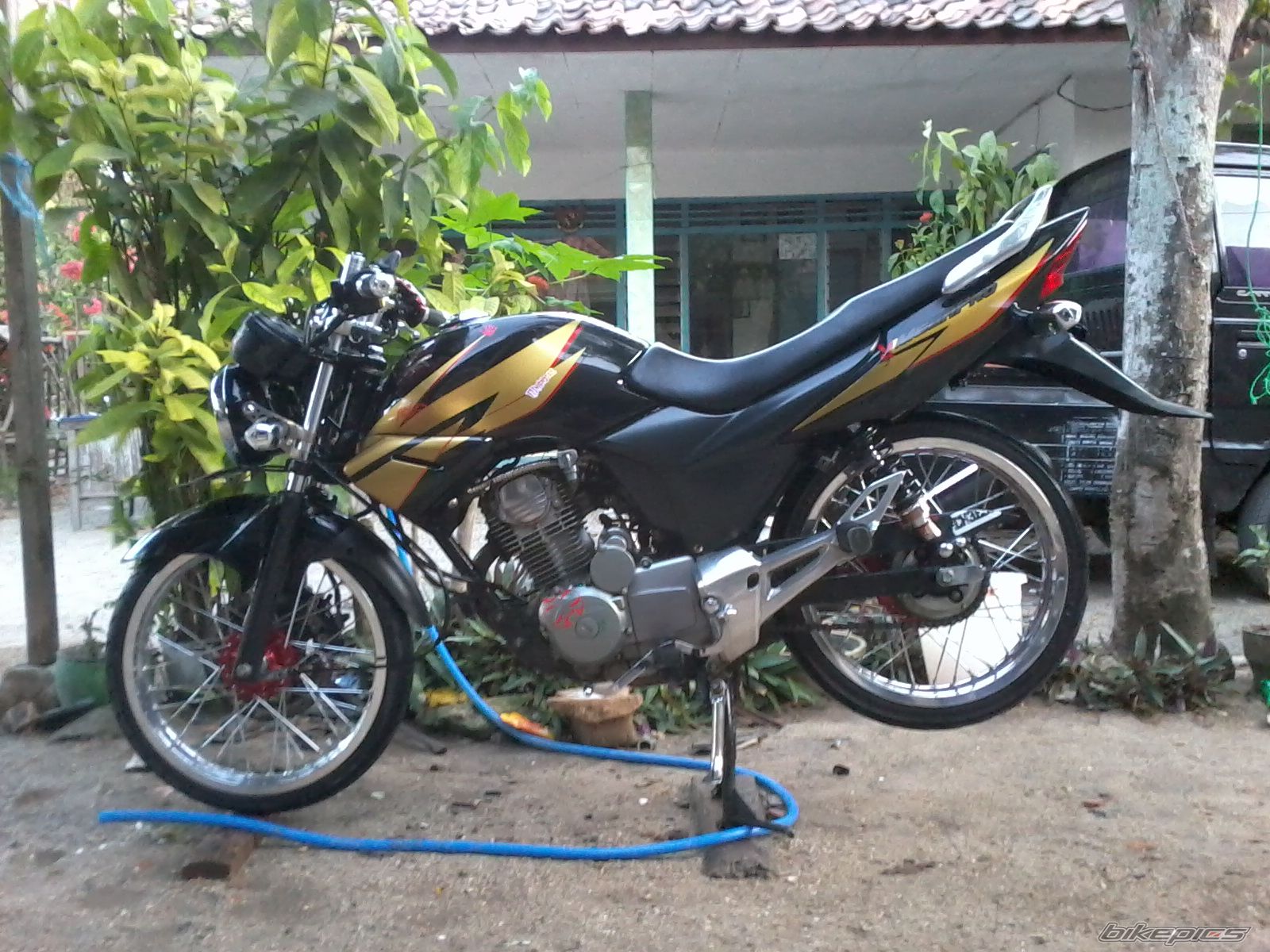 Photo 2305687