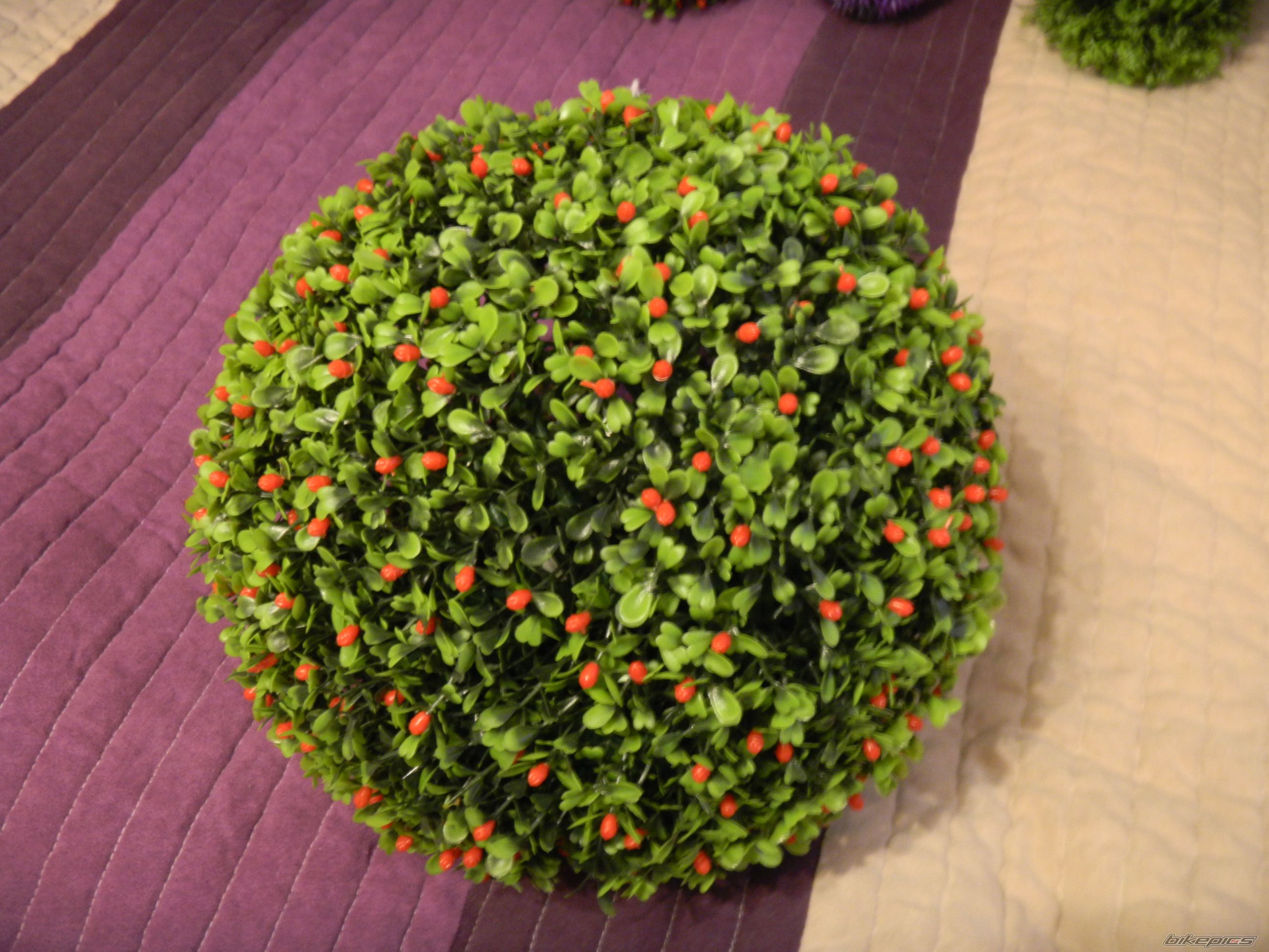 Photo 2309103