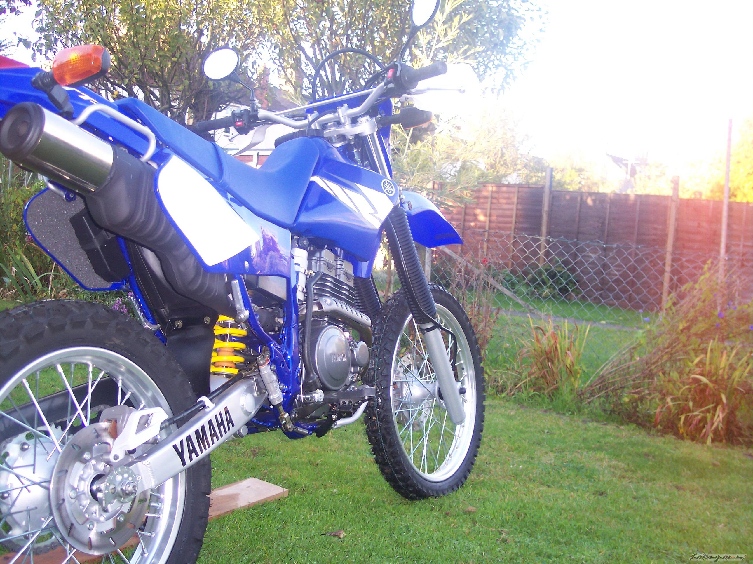 Photo 230943