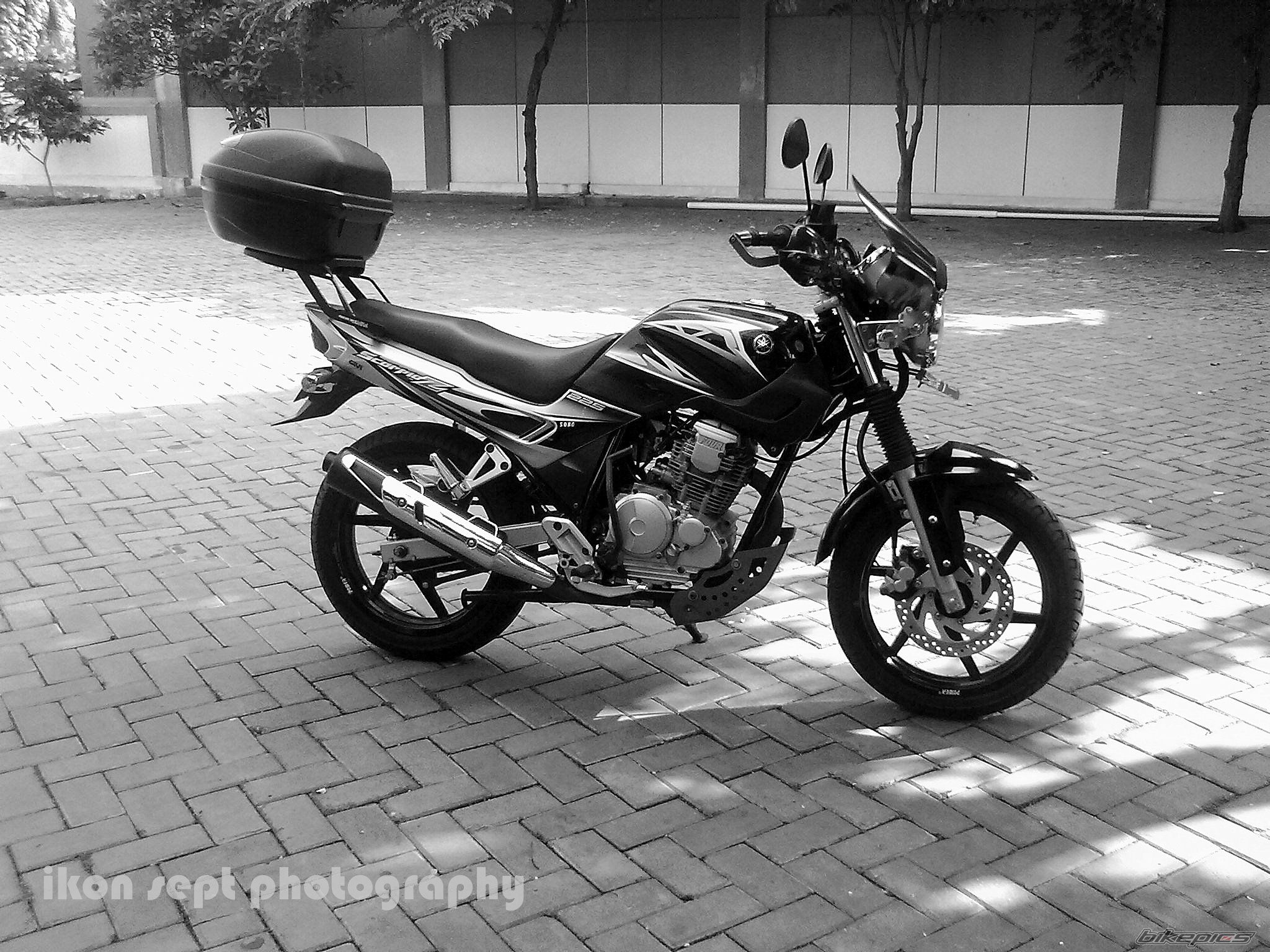 Photo 2311583