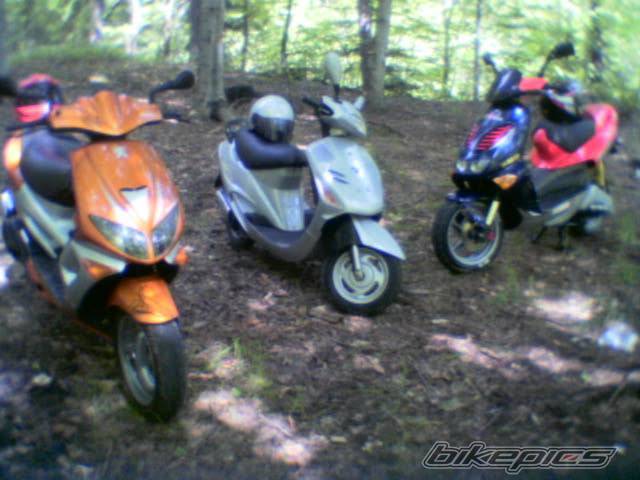 Photo 231333