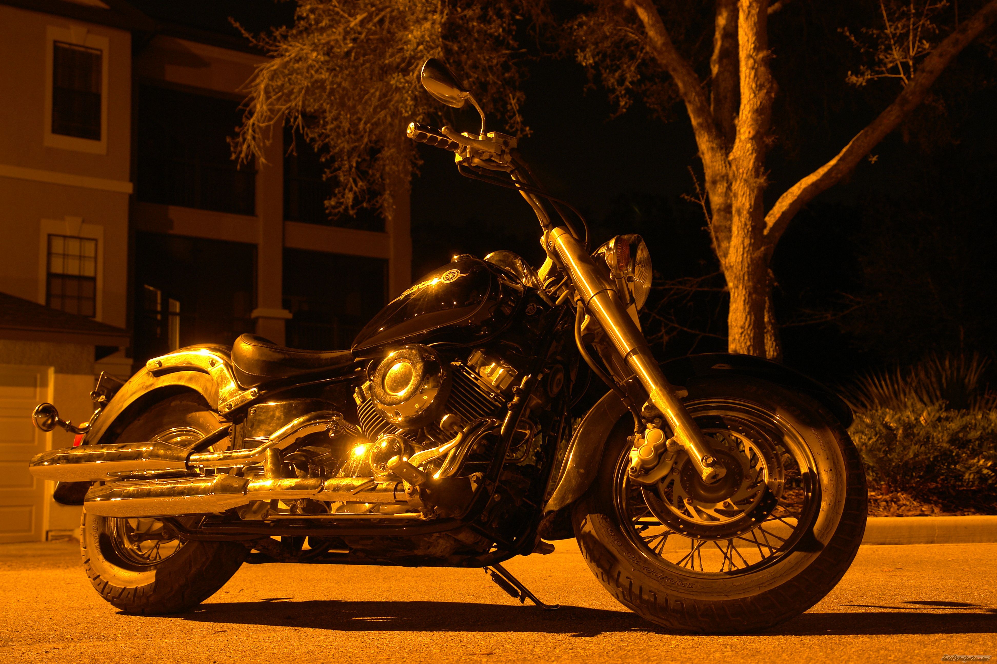 Photo 2318210