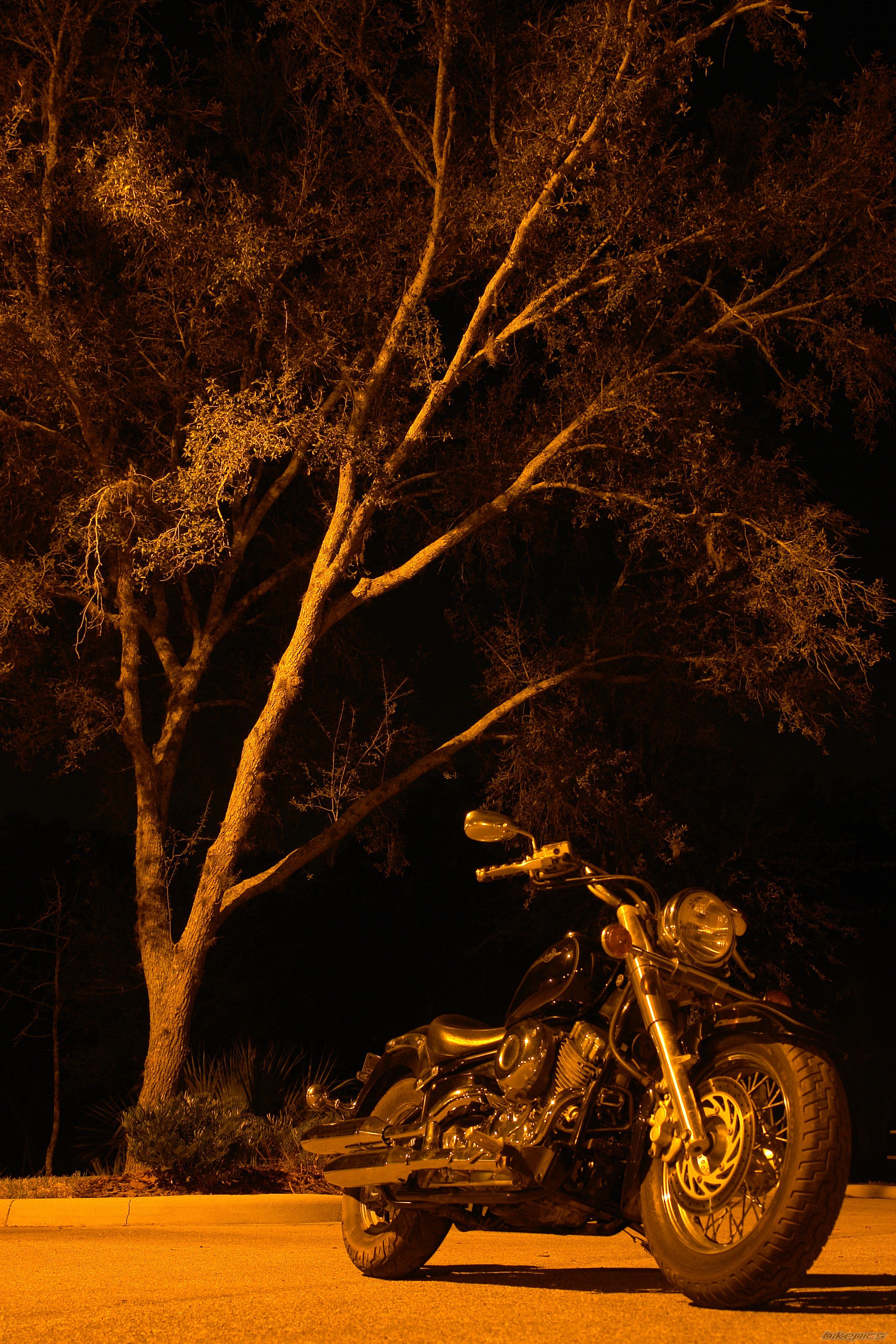 Photo 2318212