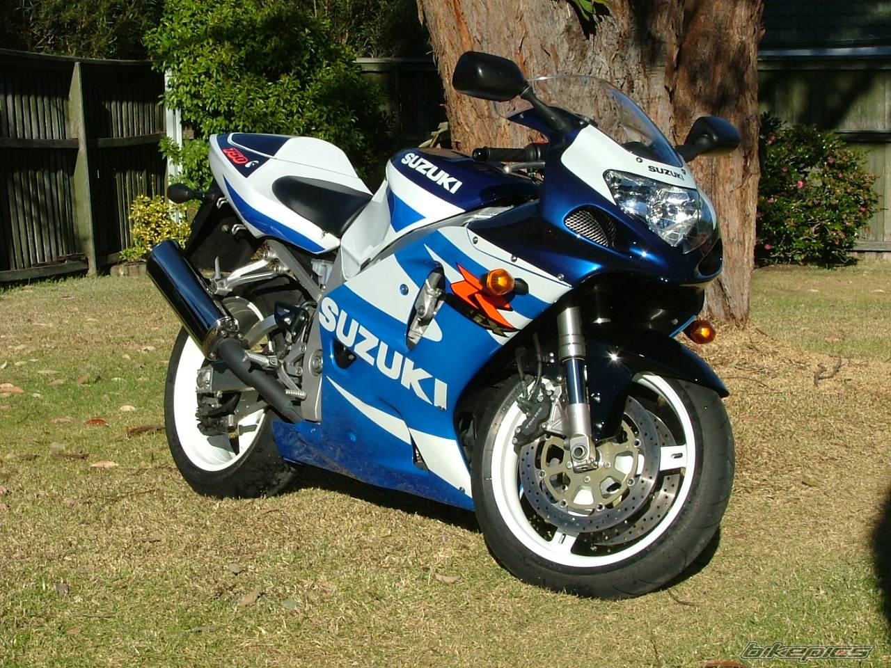 Bike Photo 231827