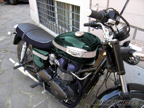 Photo 231851