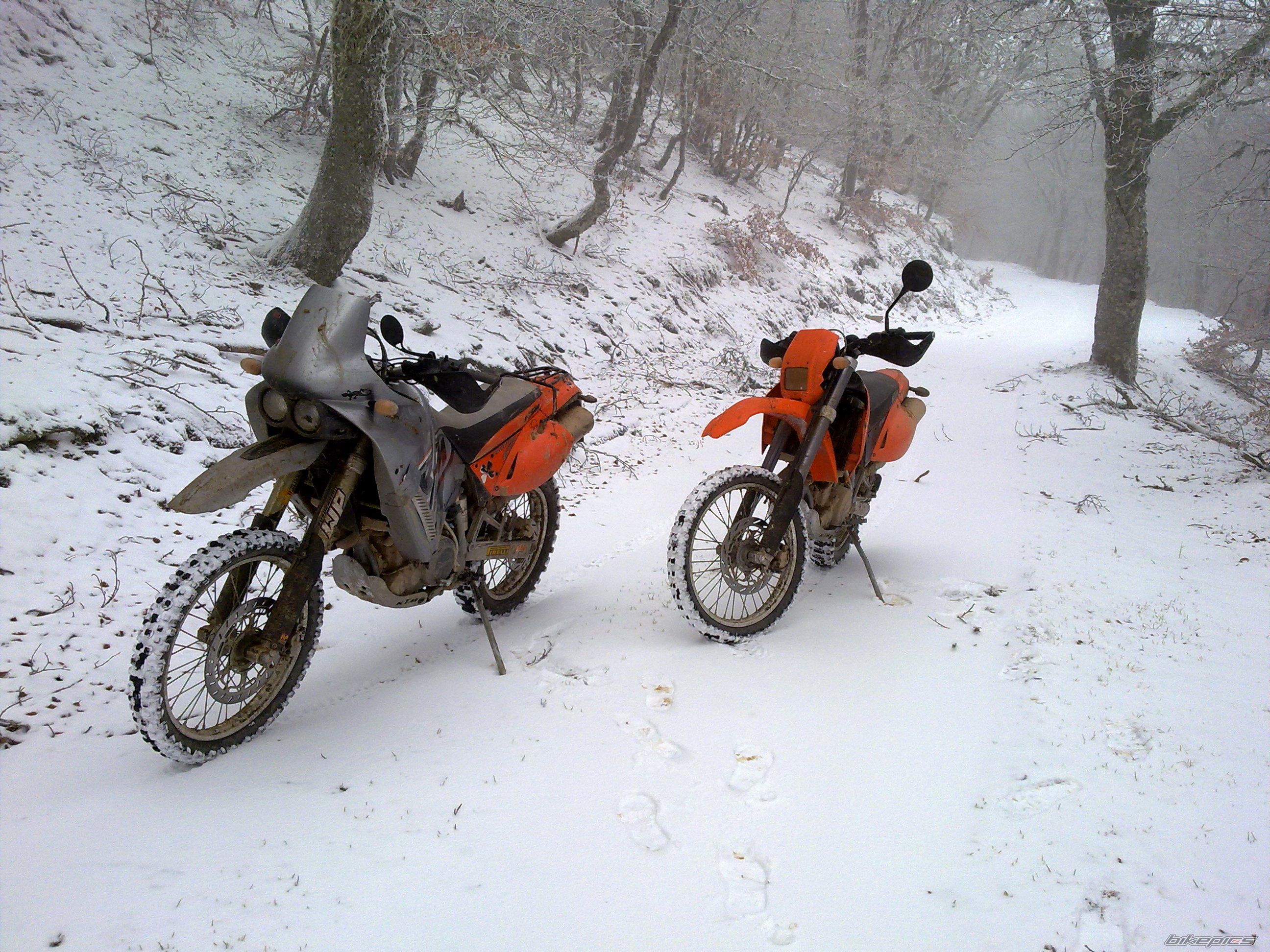 Photo 2321355