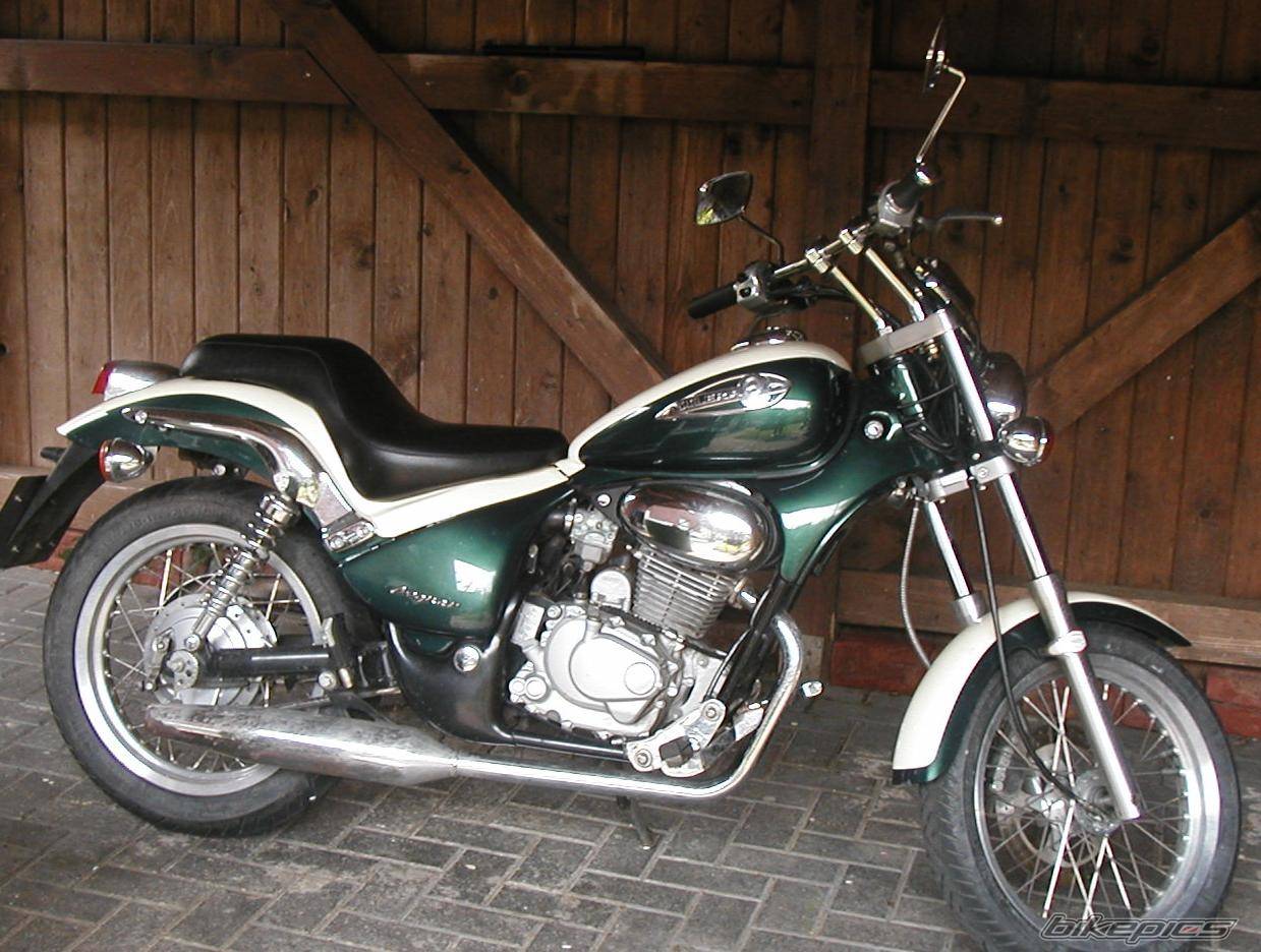 Photo 232268