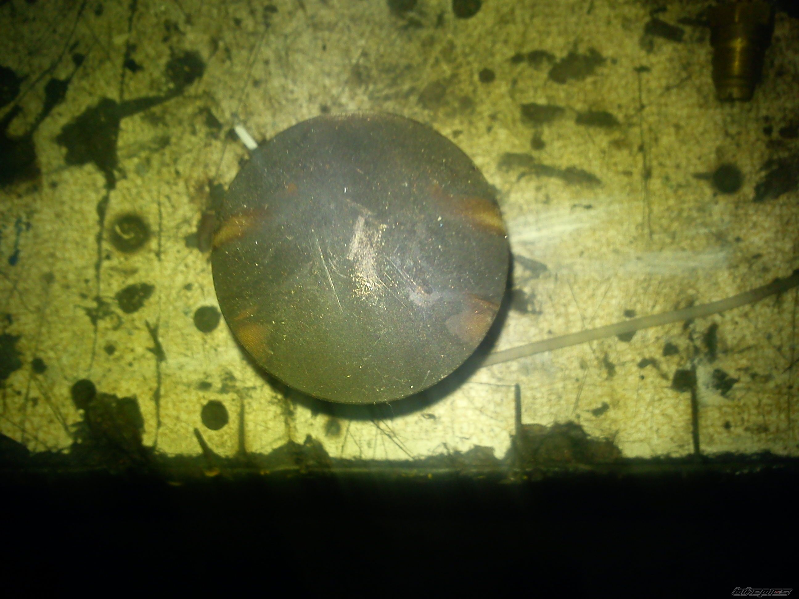 Photo 2323369