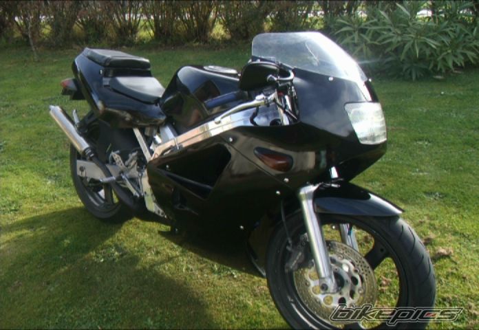 Photo 2324781