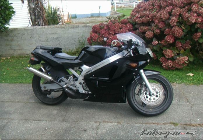 Photo 2324787