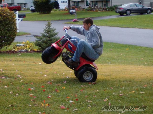 Photo 232575