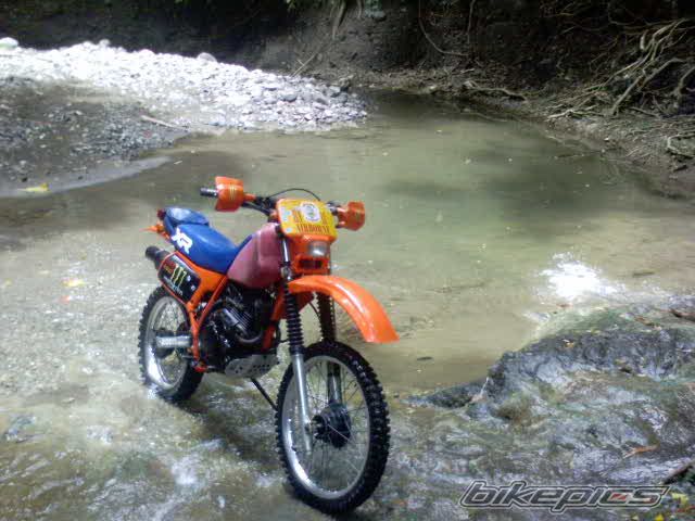 Photo 2326093