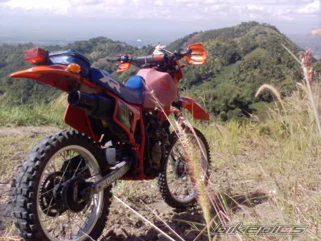 Photo 2326096