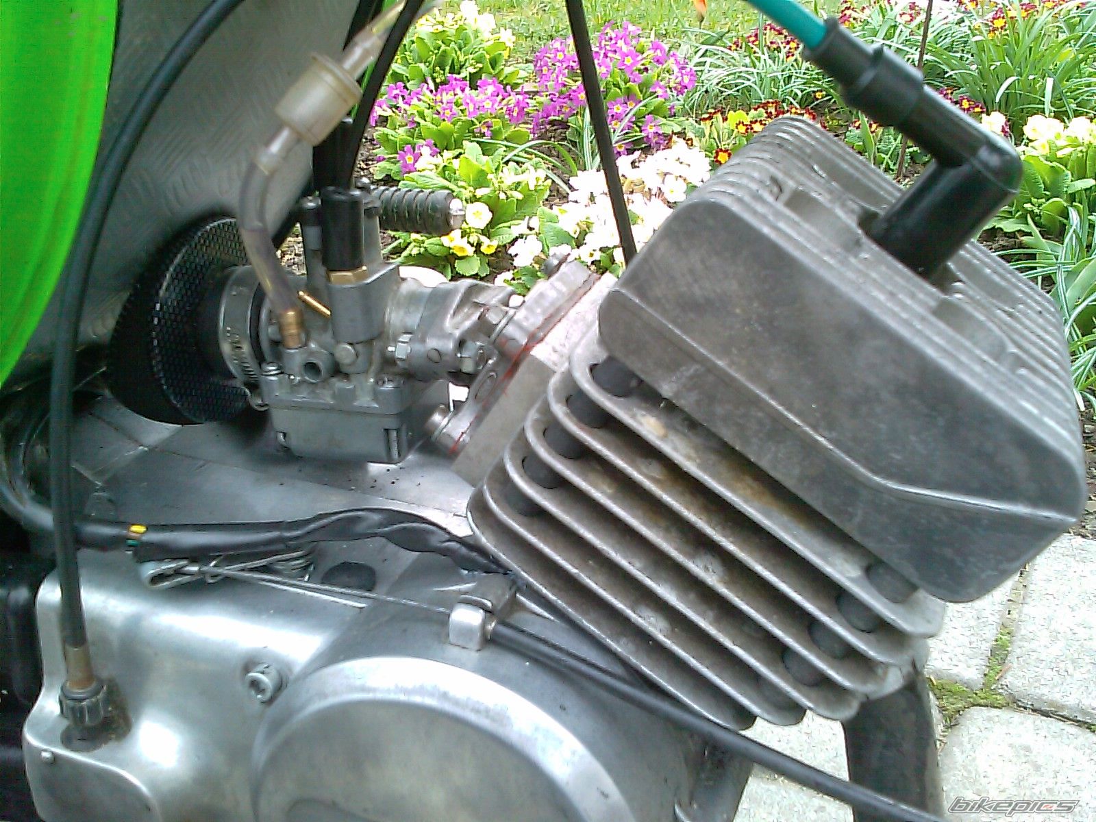Photo 2326869