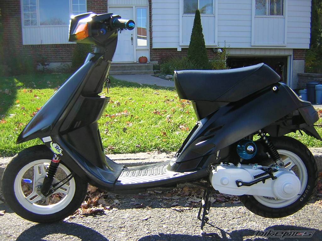 Photo 232687