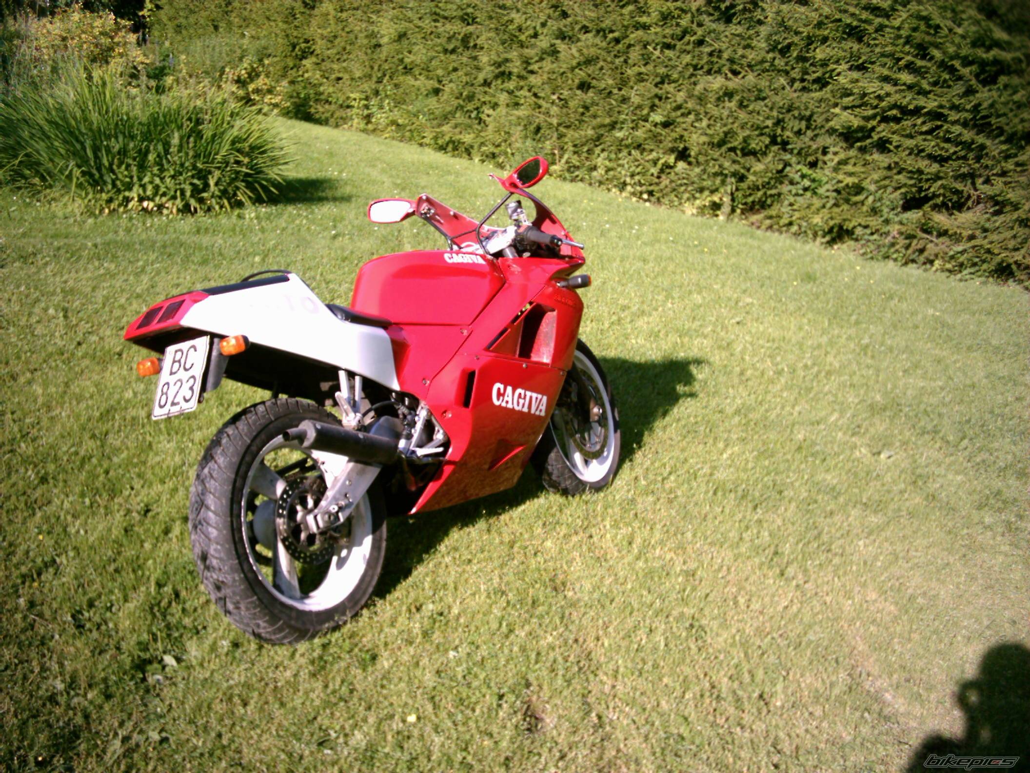 Photo 232706