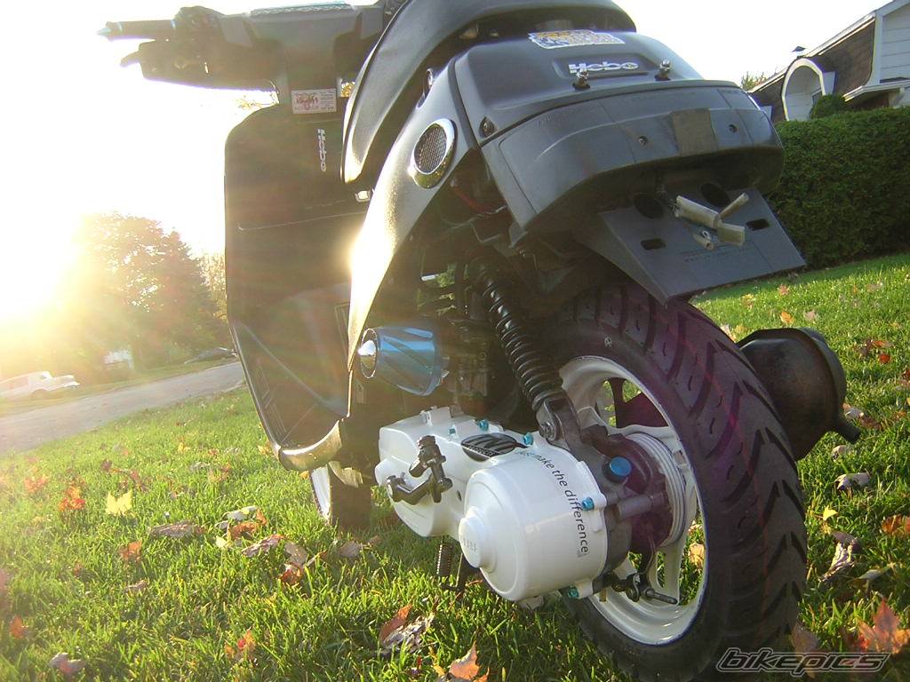 Photo 232723