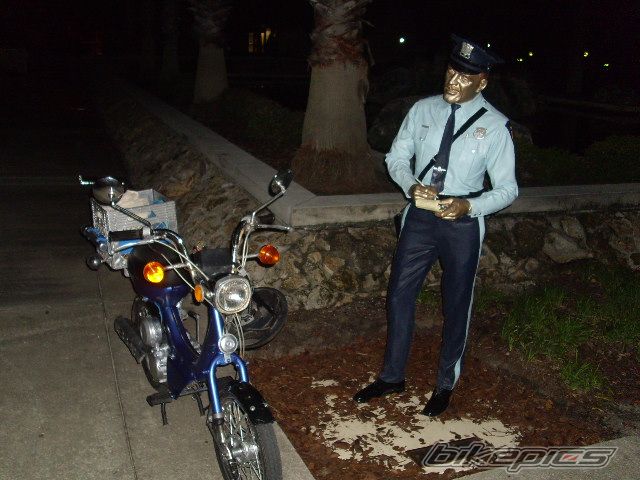 Photo 2330877