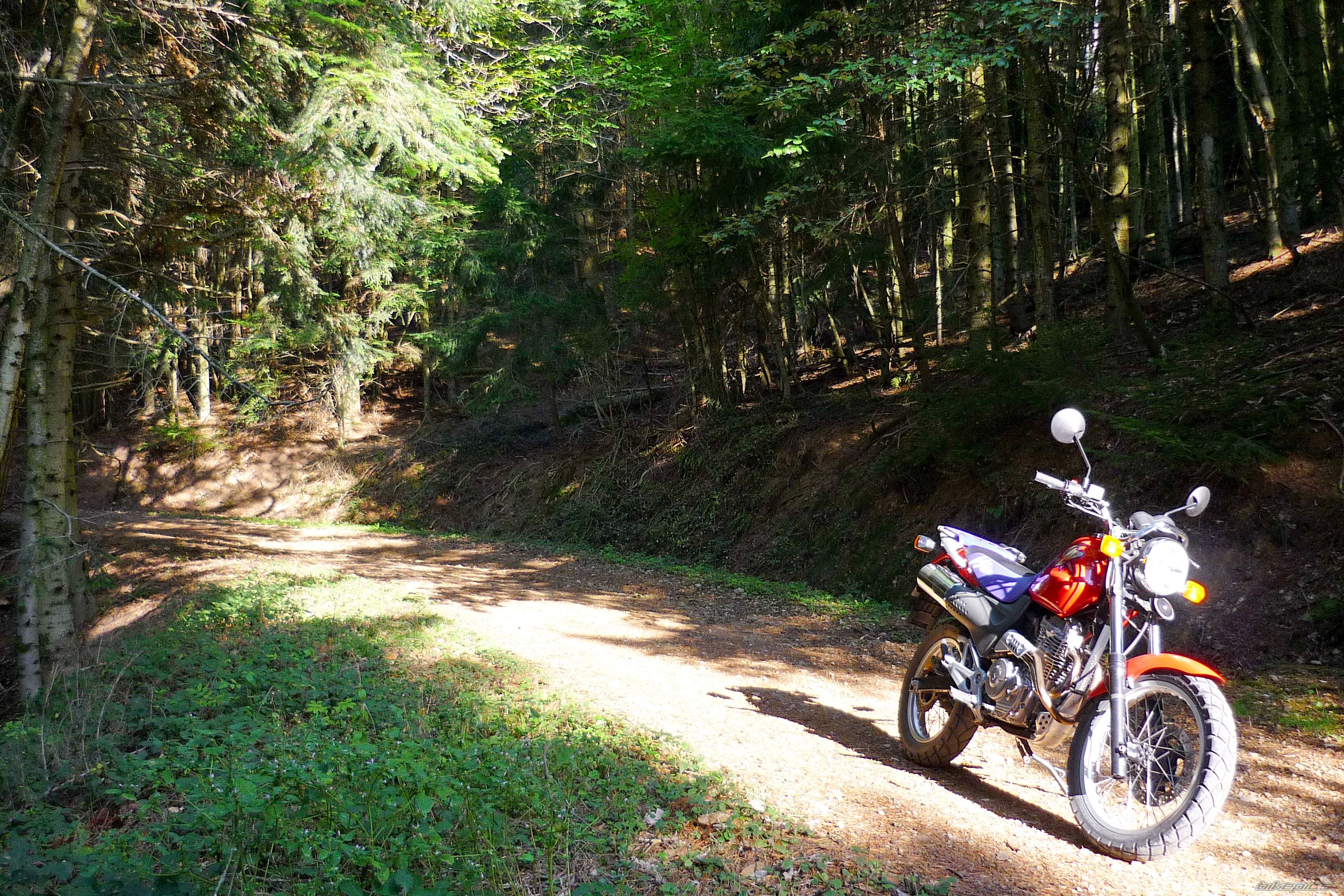 Bike Photo 2331040