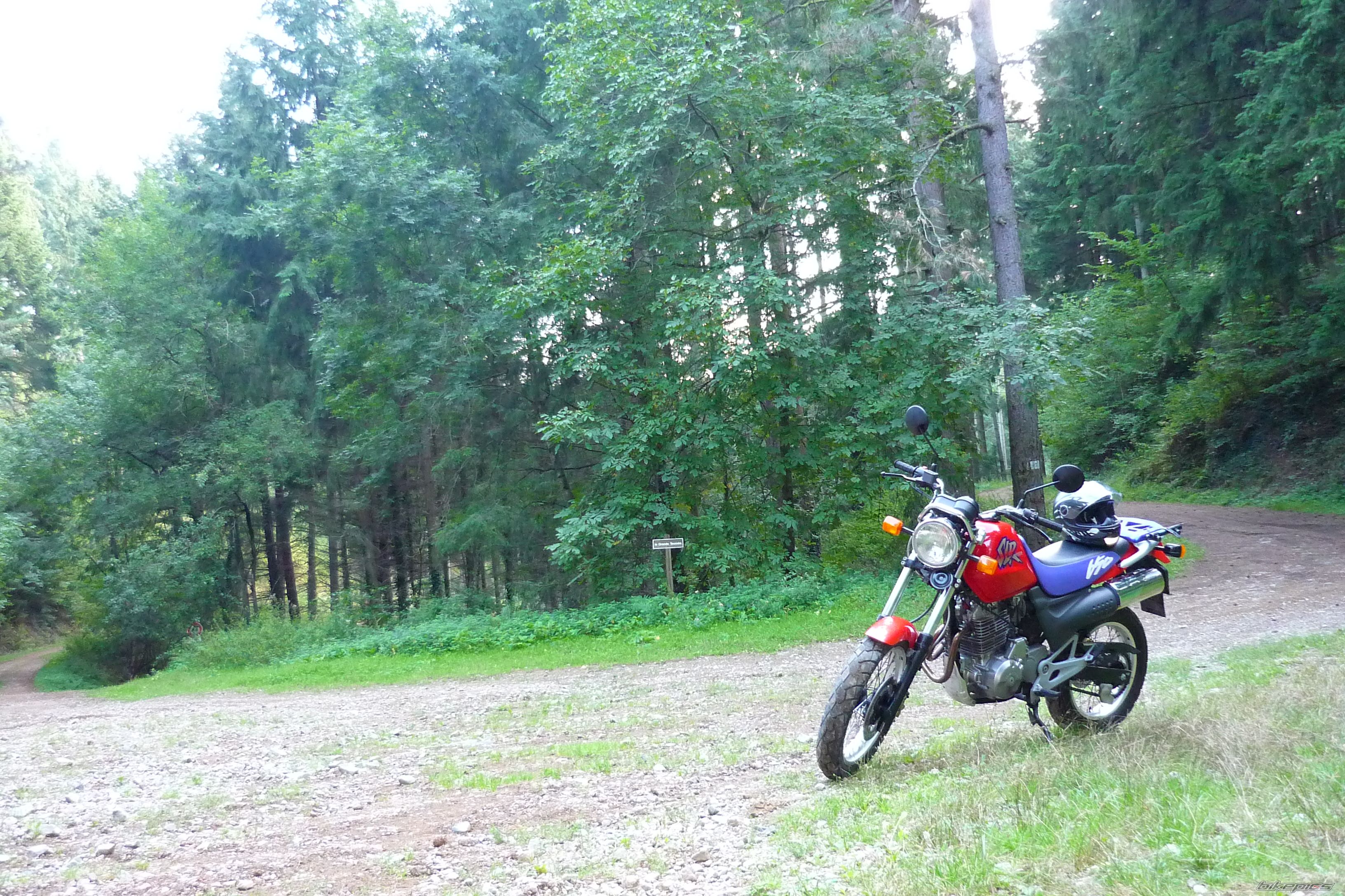 Bike Photo 2331043