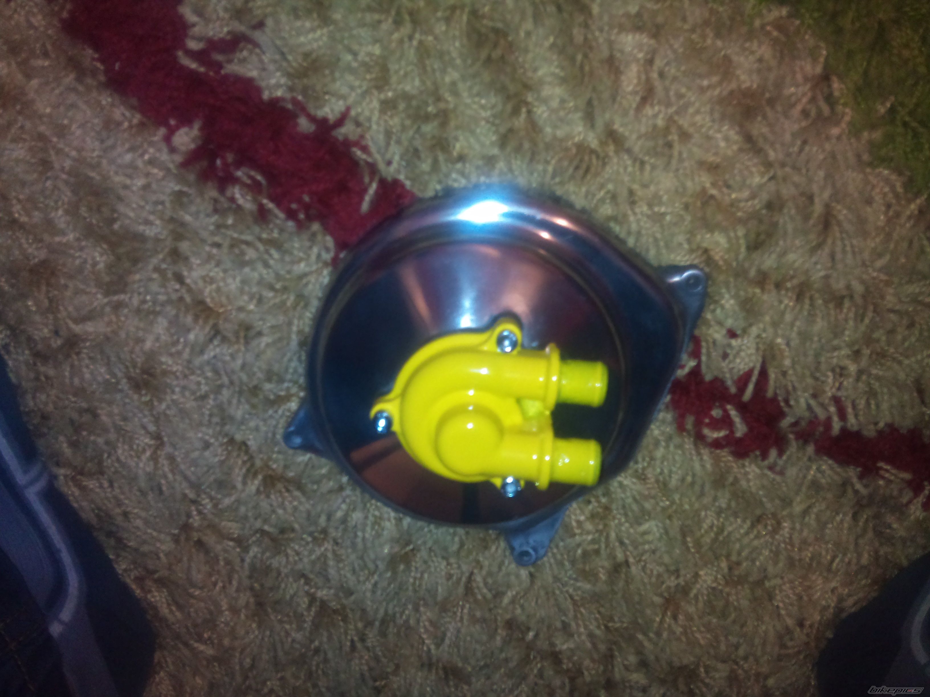 Photo 2331430