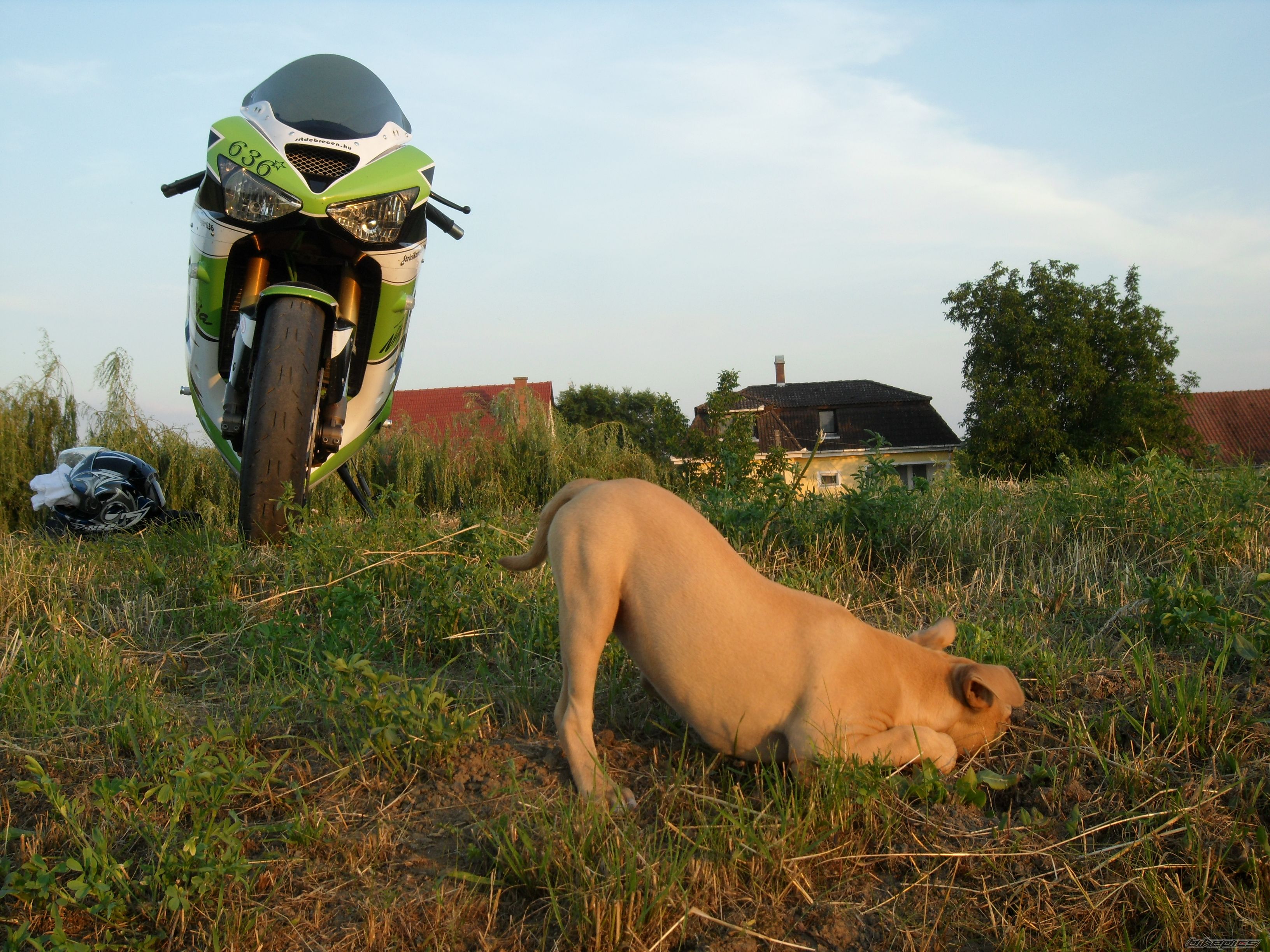 Photo 2333275