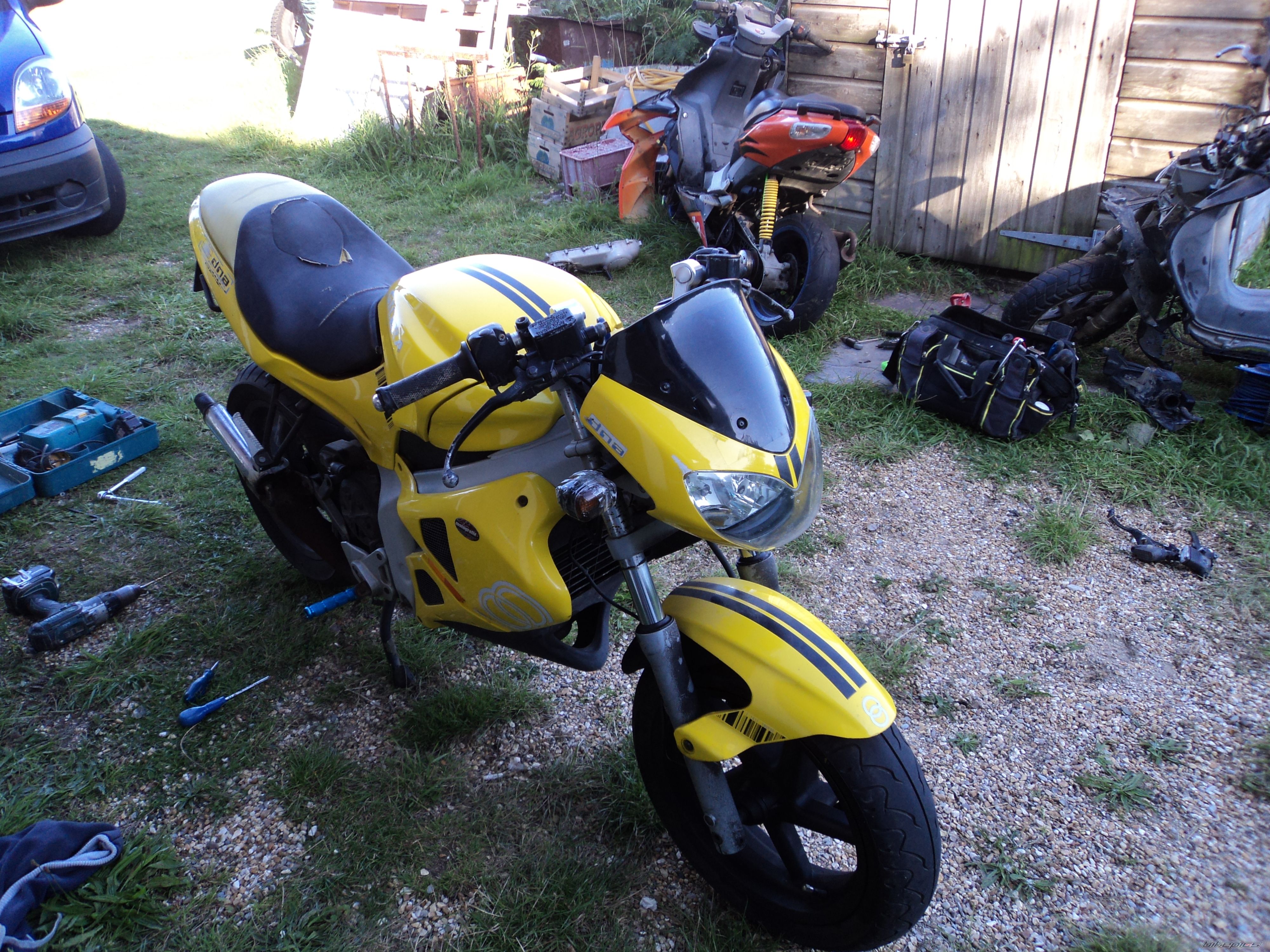 Photo 2333543