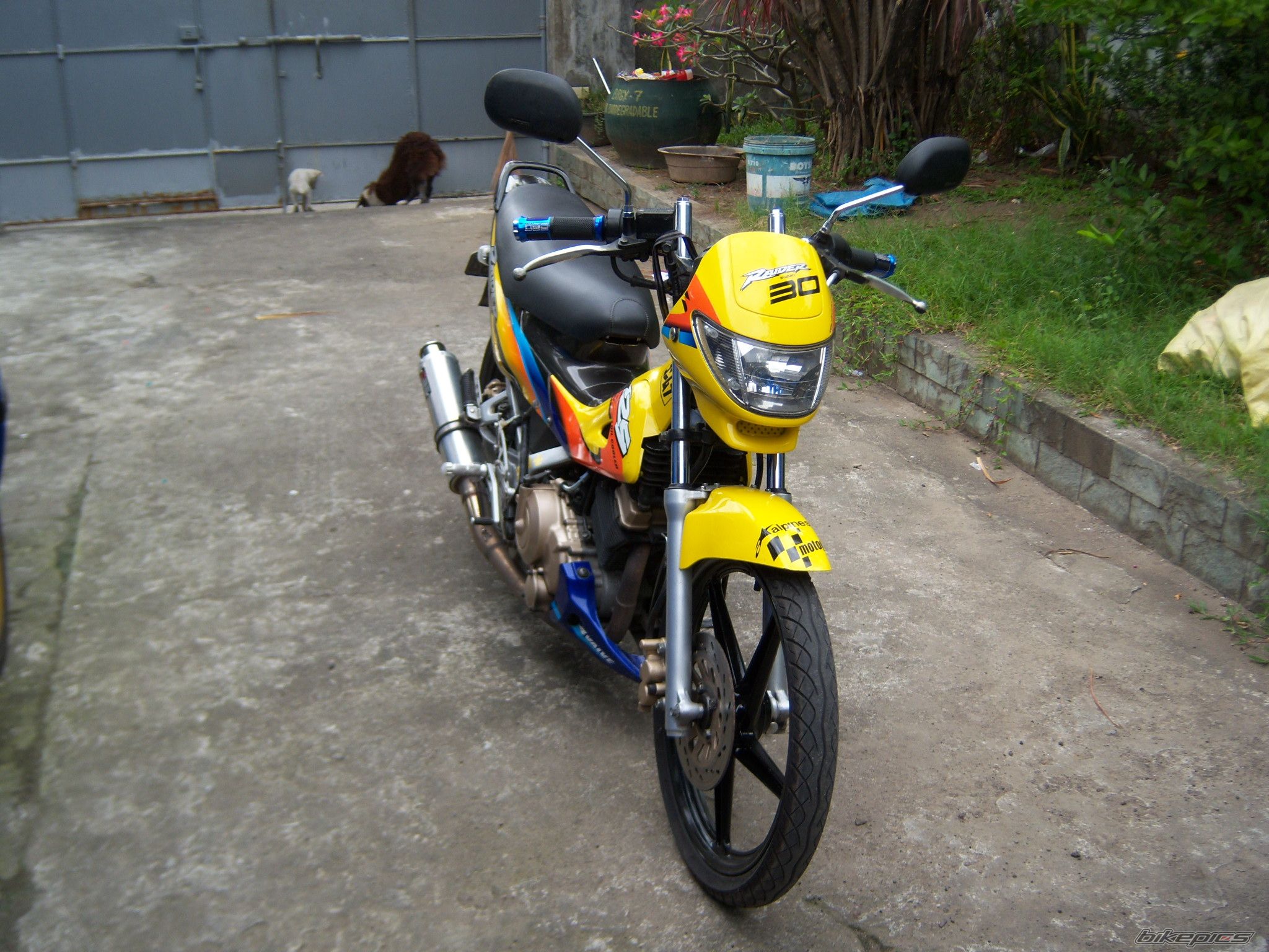 Photo 2334368