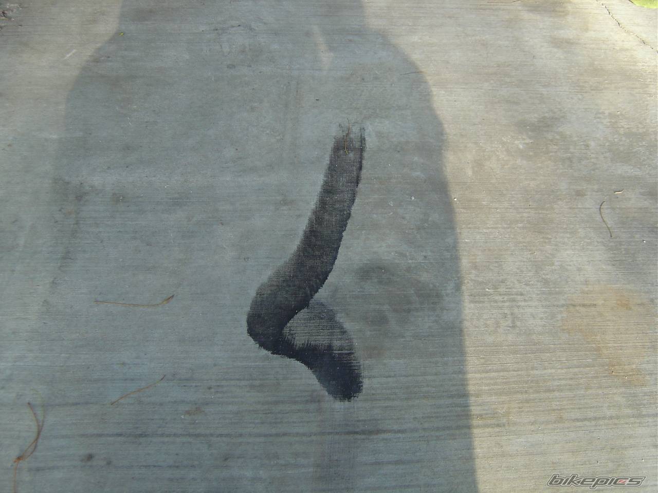 Photo 233625