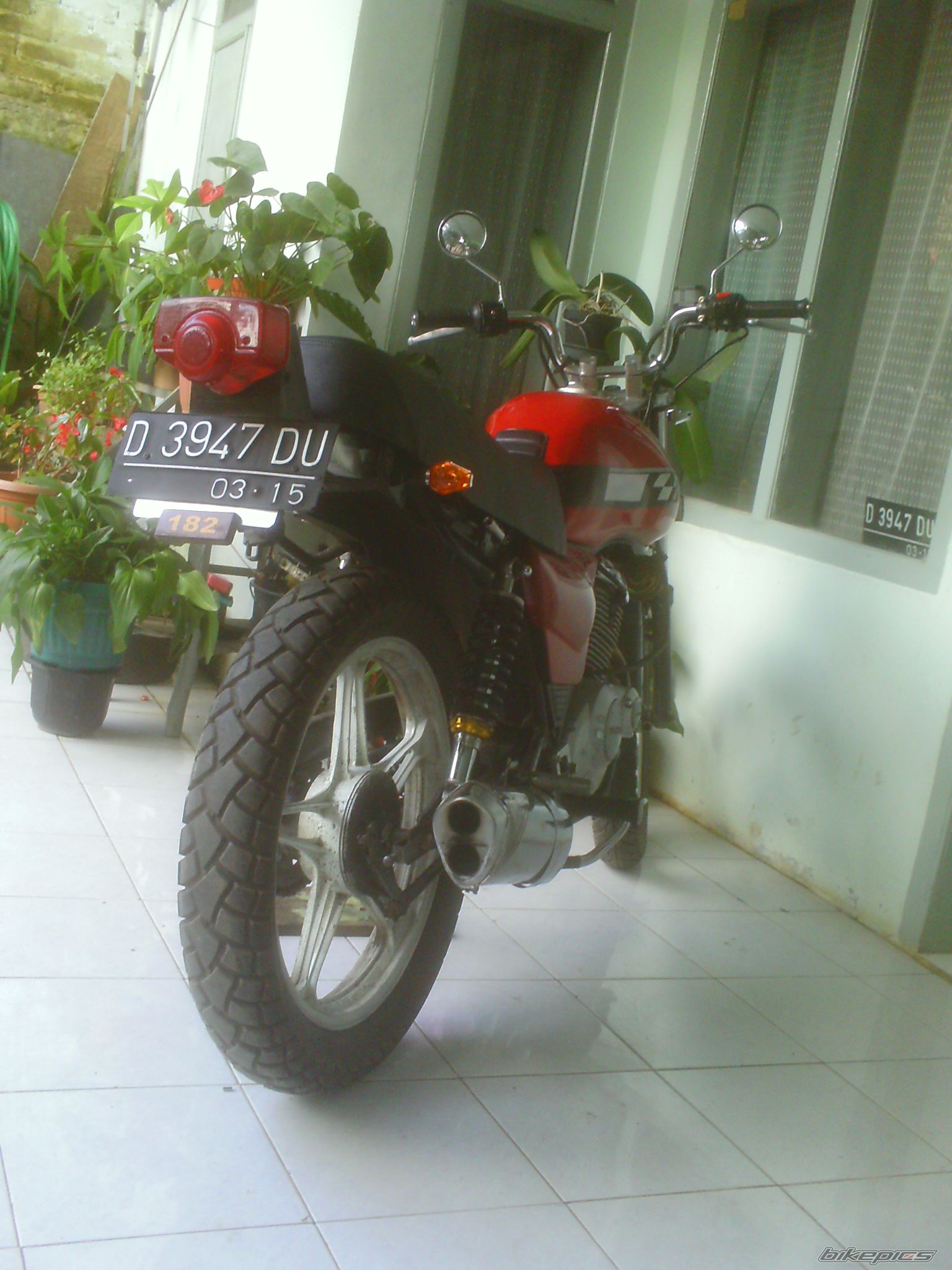 Photo 2336718
