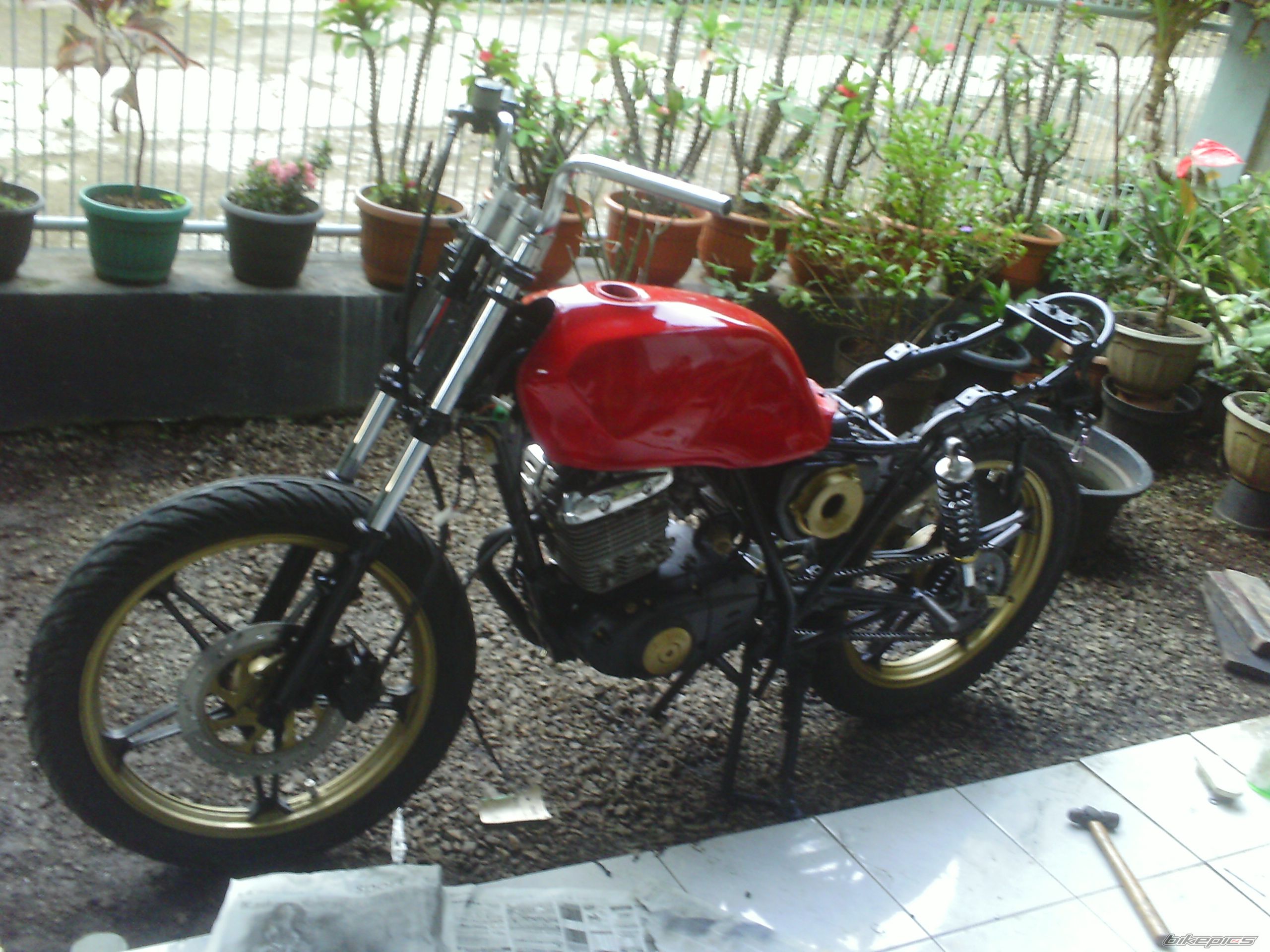 Photo 2336743