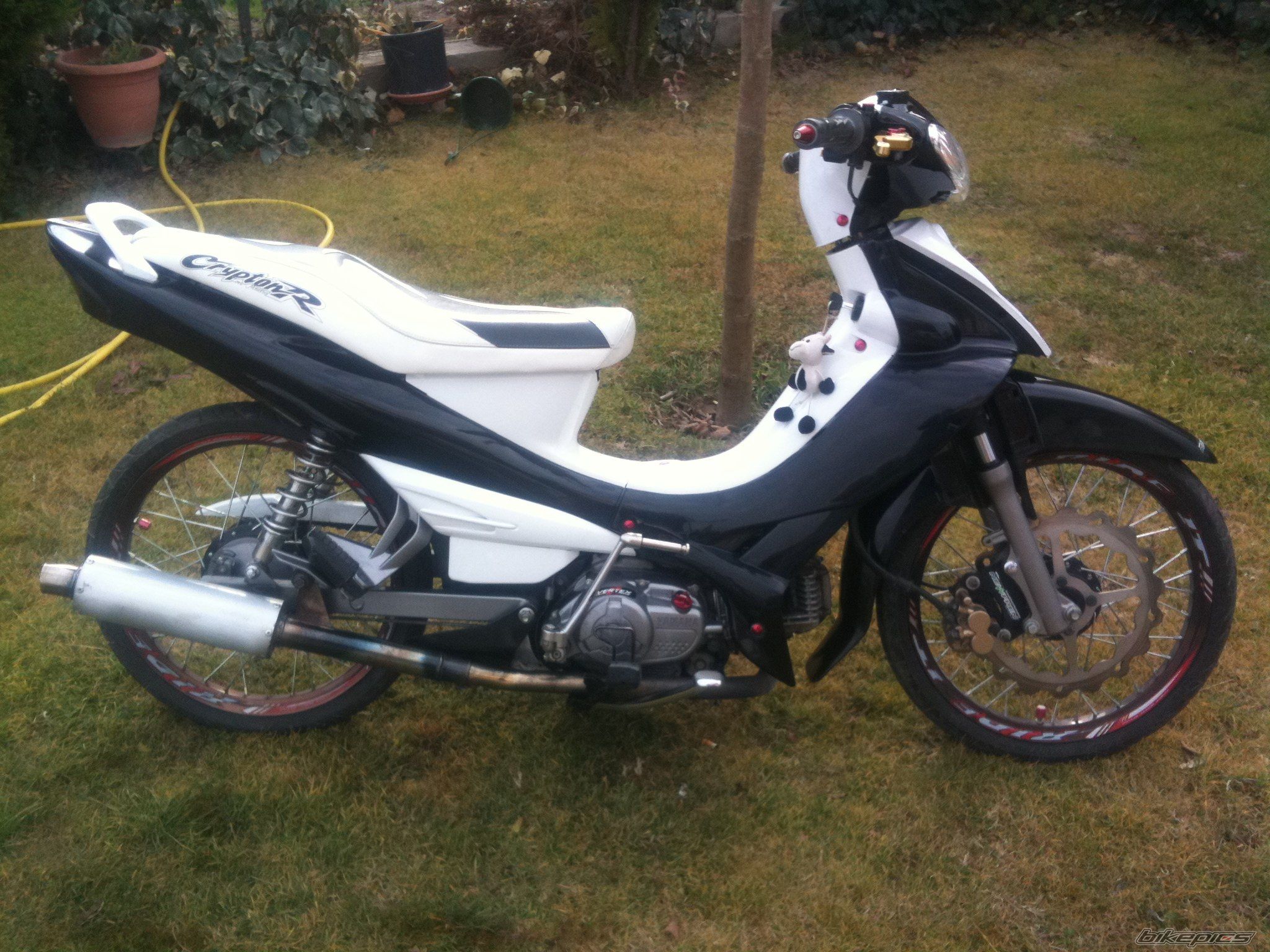 Bike Photo 2339889