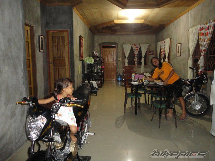 Photo 2340298