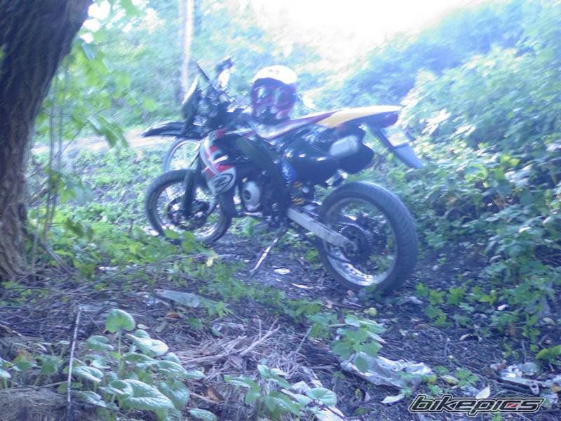 Photo 2341223