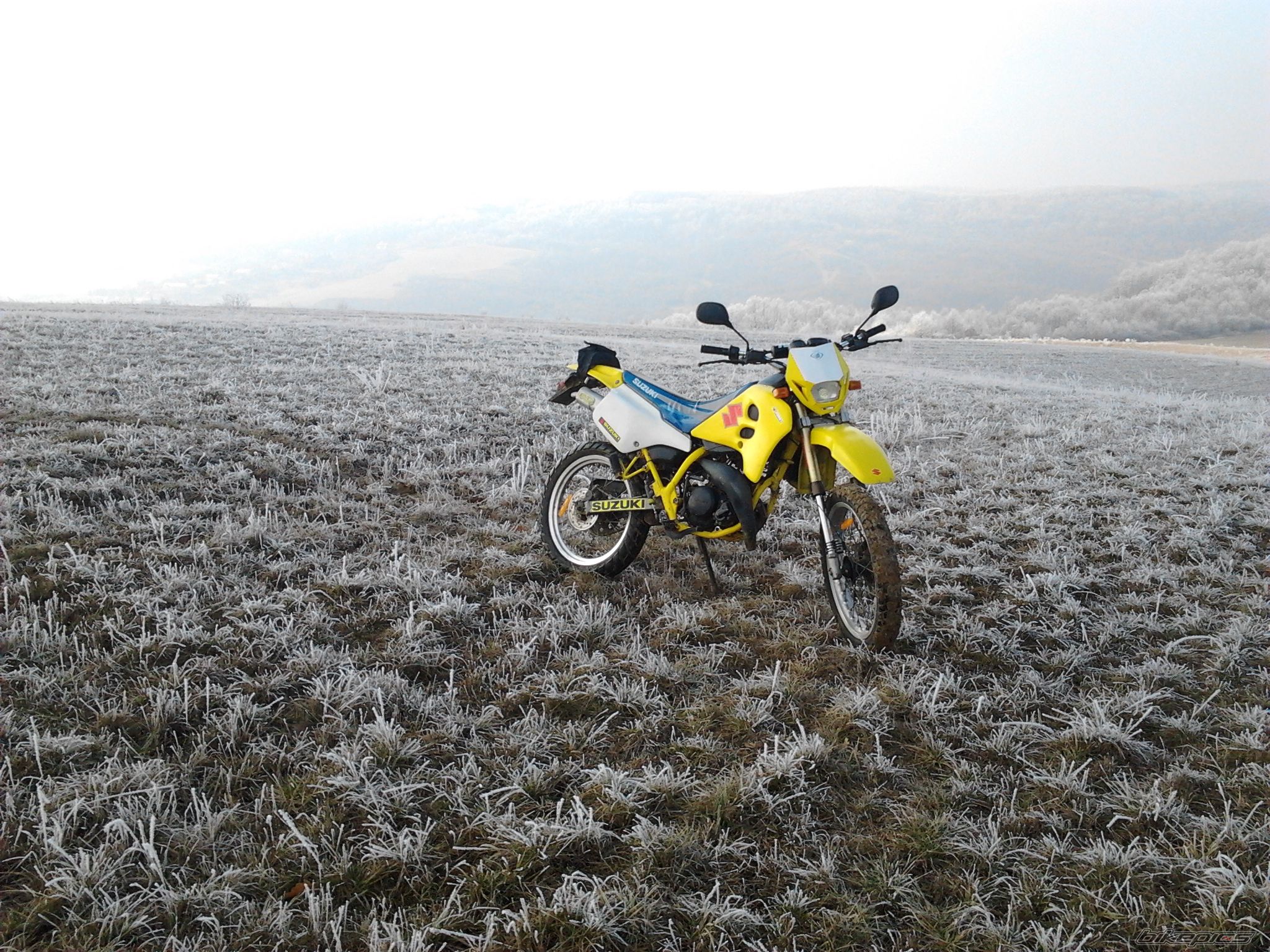 Photo 2341722