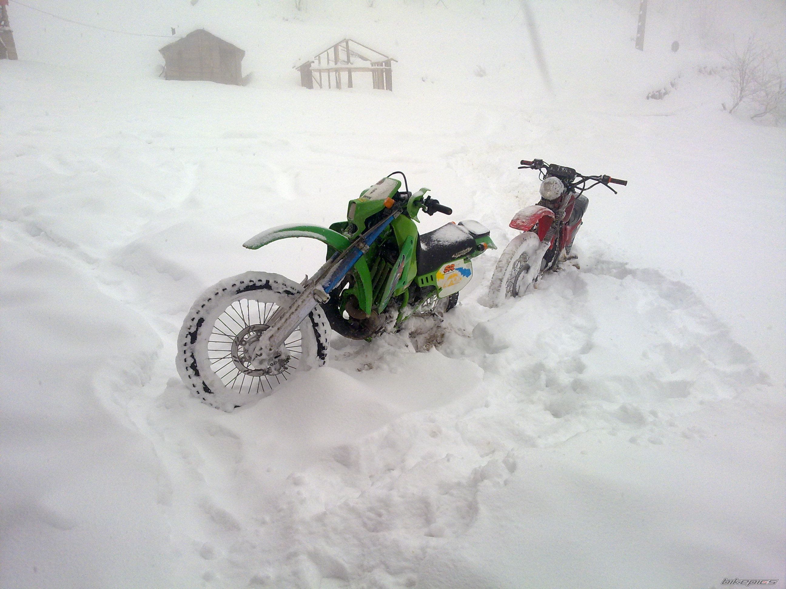 Photo 2341901