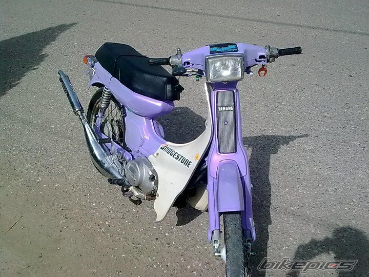 Photo 2342254